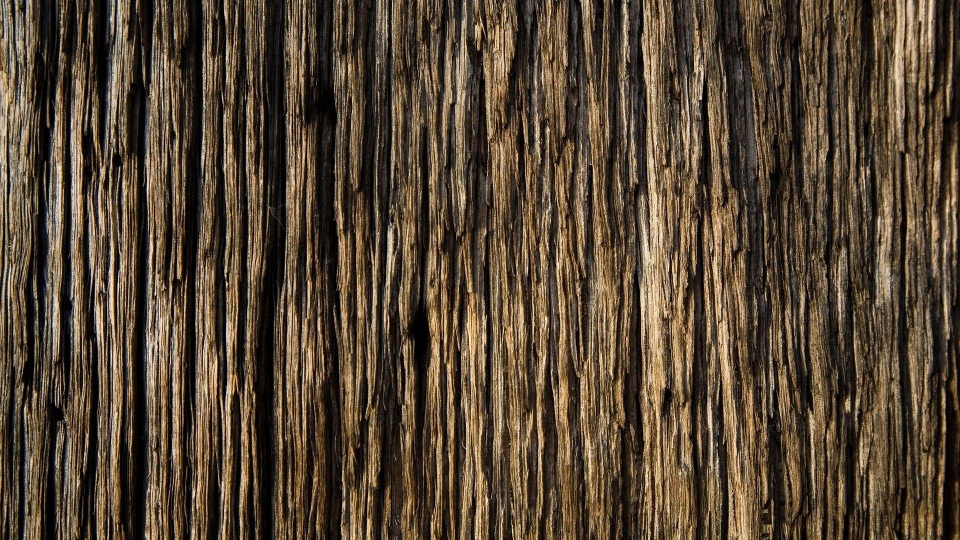 Download Wallpaper 1920x1080 Bark, Wood, Background, Texture Full