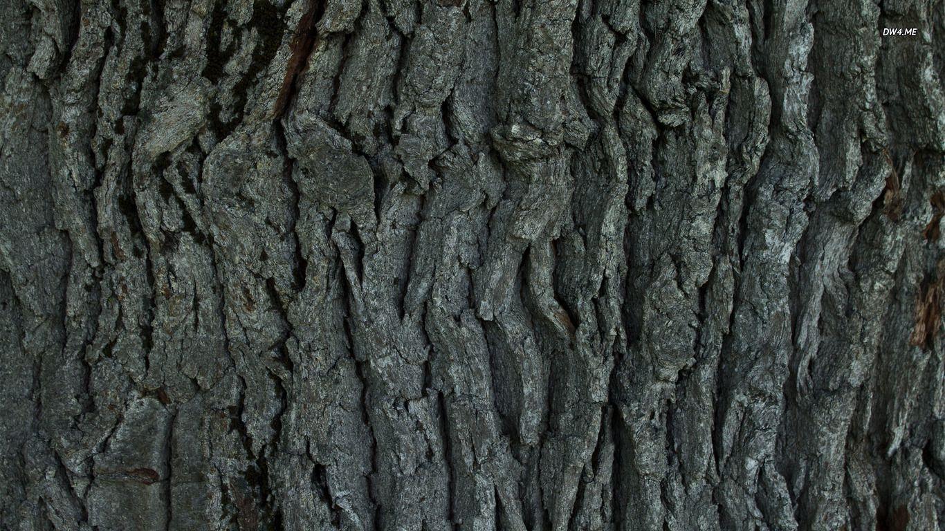 Tree Bark wallpaperx768