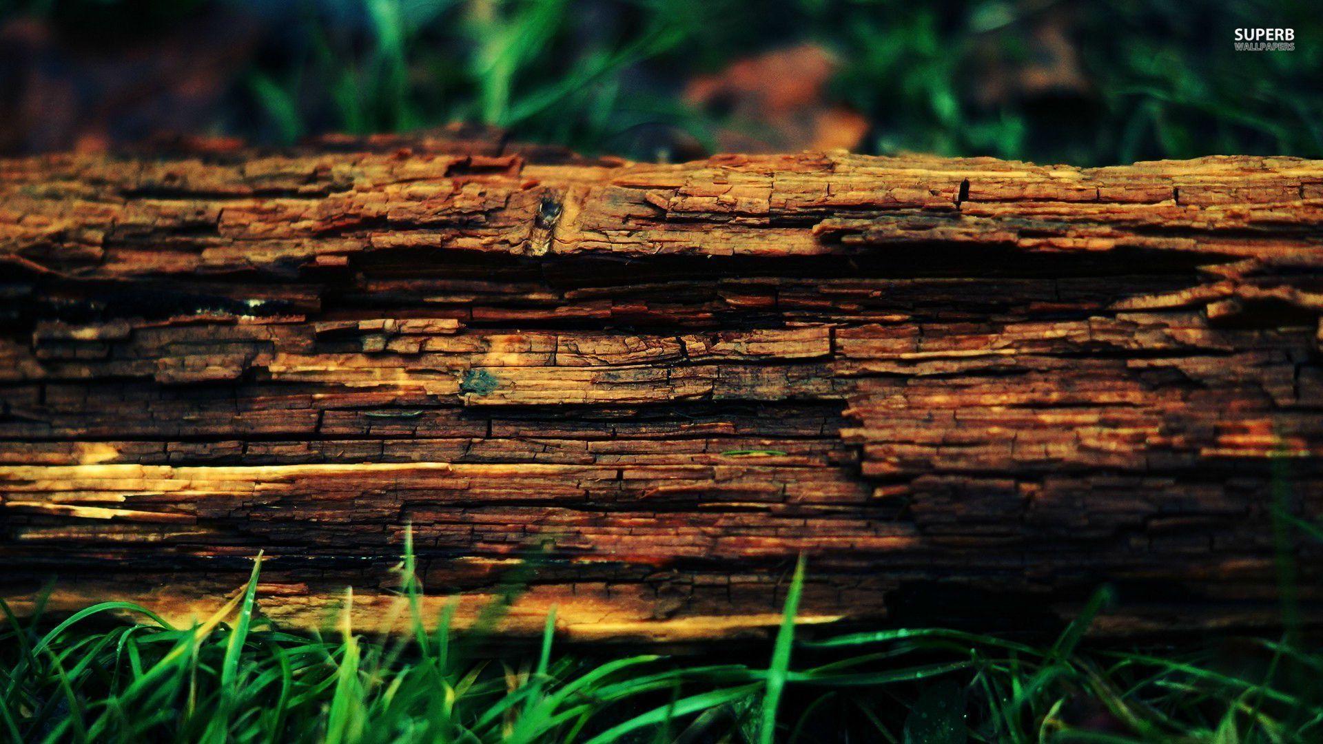 Wood Bark