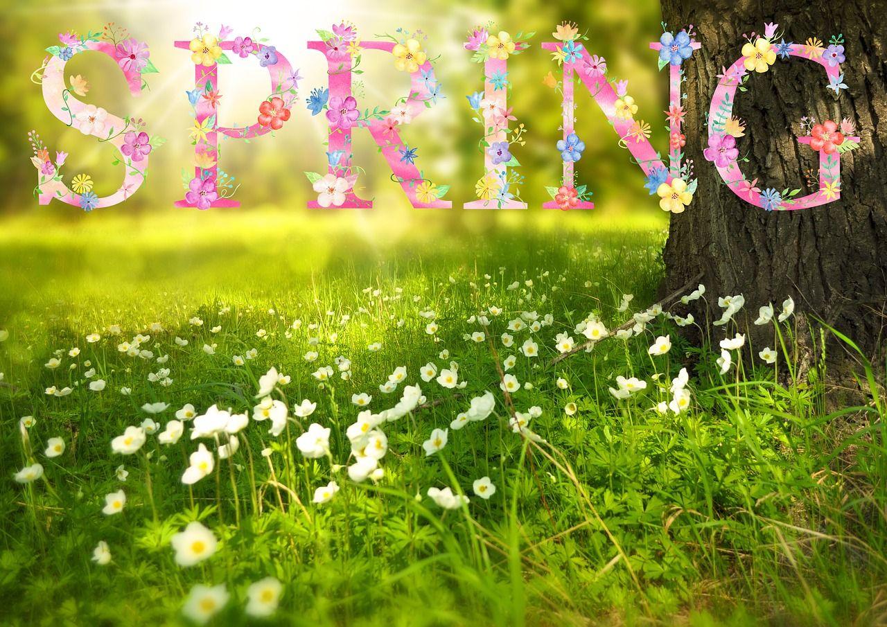 Spring Image Spring Image Background