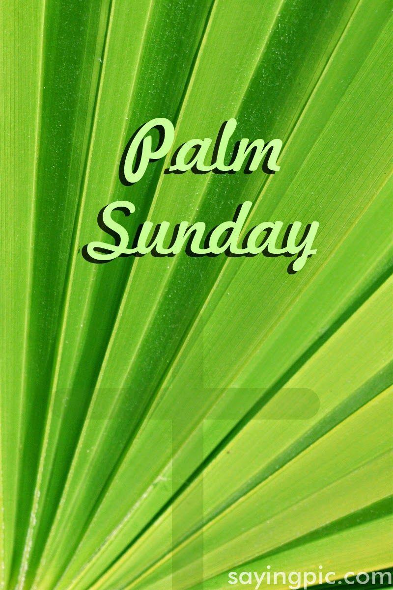 Palm Sunday: Quotes, image and wallpaper for Celebration of Palm