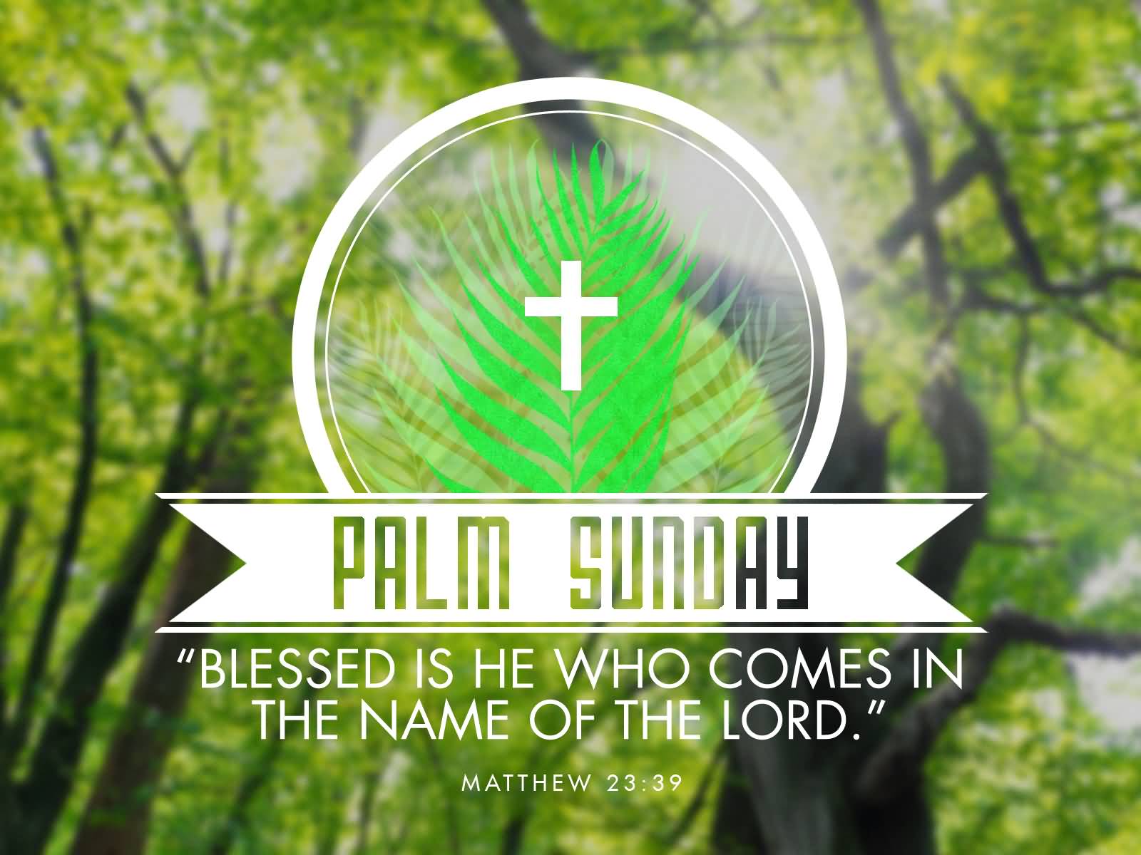 Happy Palm Sunday 2018 Wishes Quotes Picture Image Messages Sms