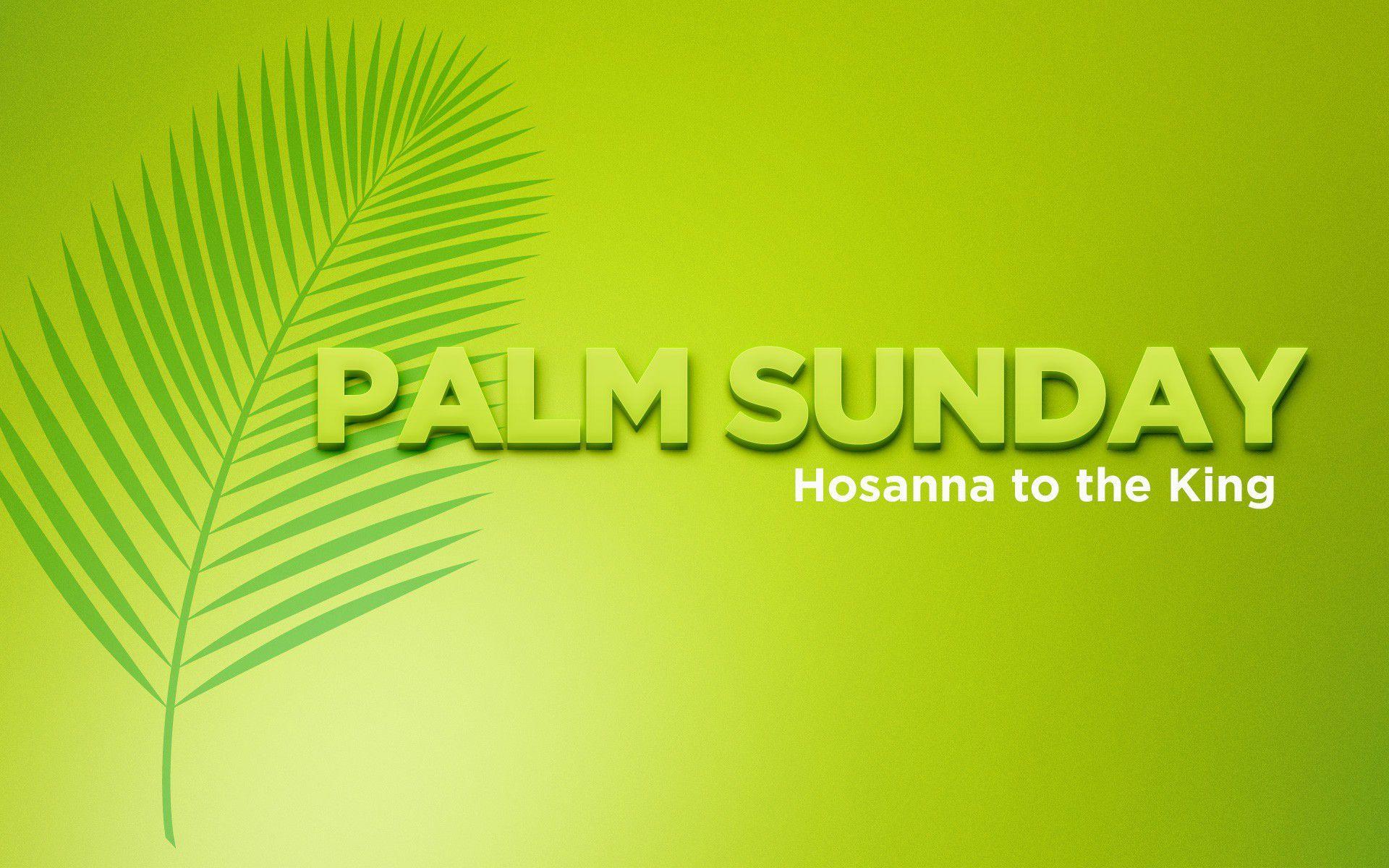 Palm Sunday Wallpaper Free Download