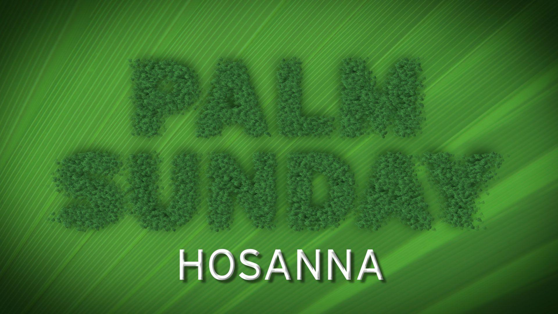 Palm Sunday Hosanna King Jesus Free HD Wallpaper