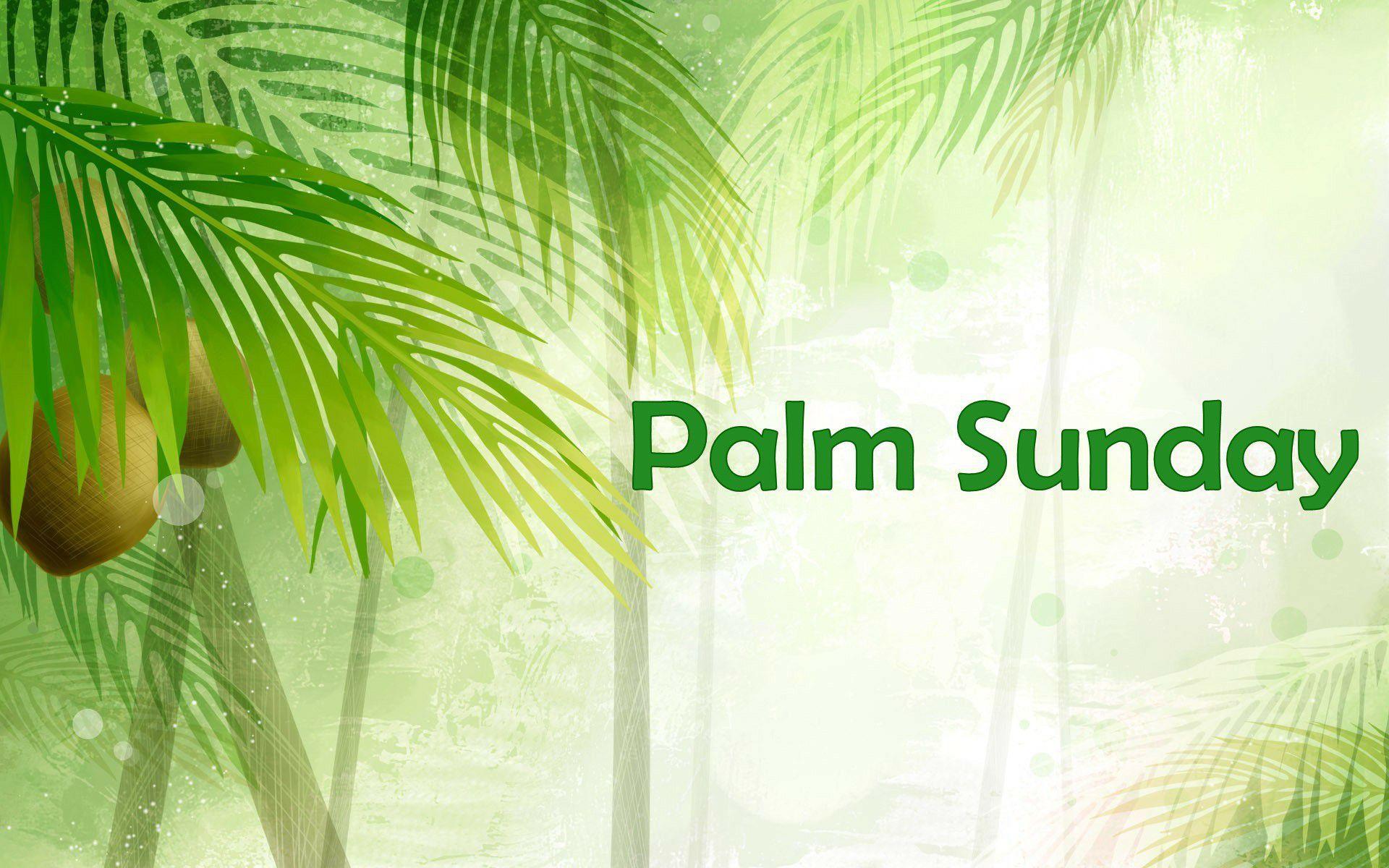 Palm Sunday Wallpaper For iPhone