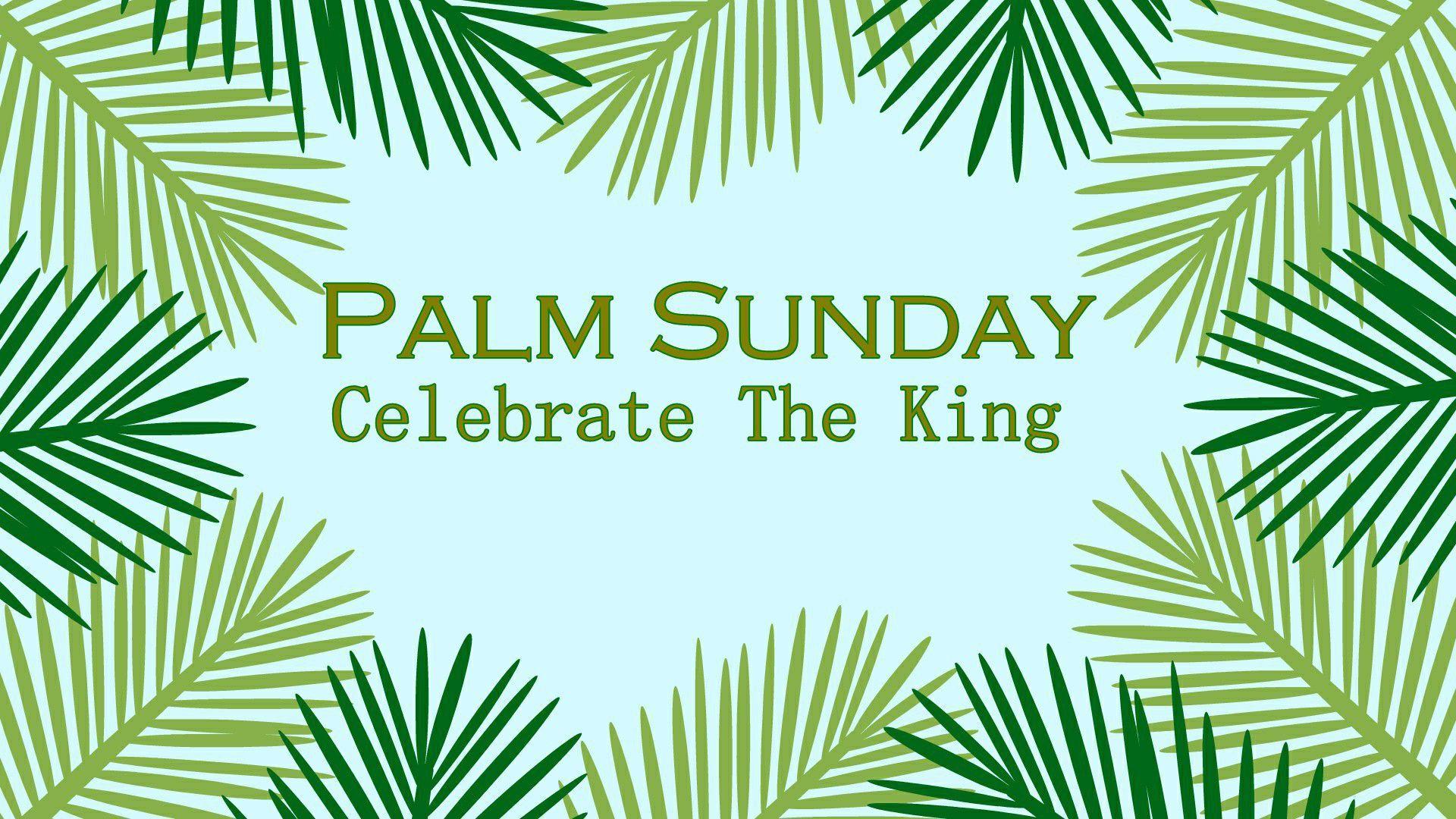 Palm Sunday Whatapp Wallpaper Free Download
