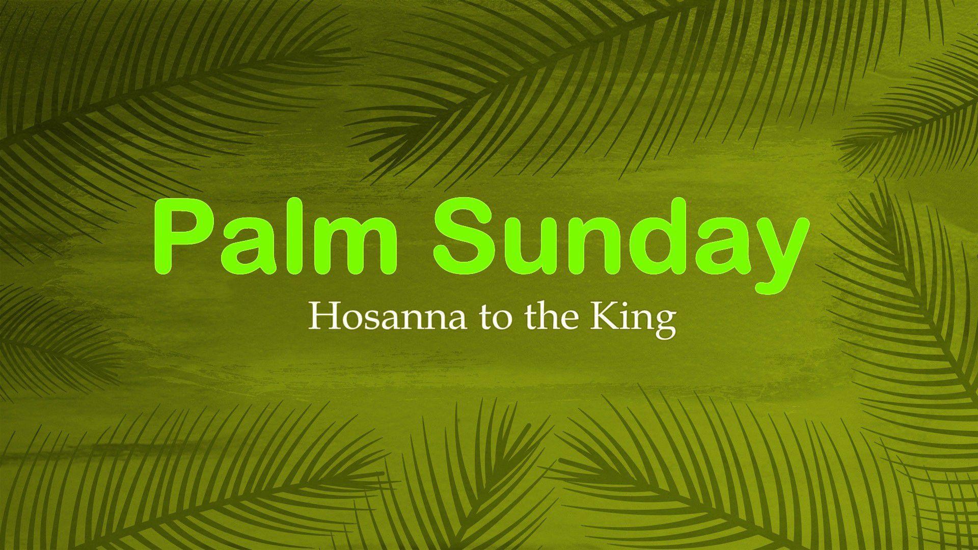 Palm Sunday HD Wallpaper