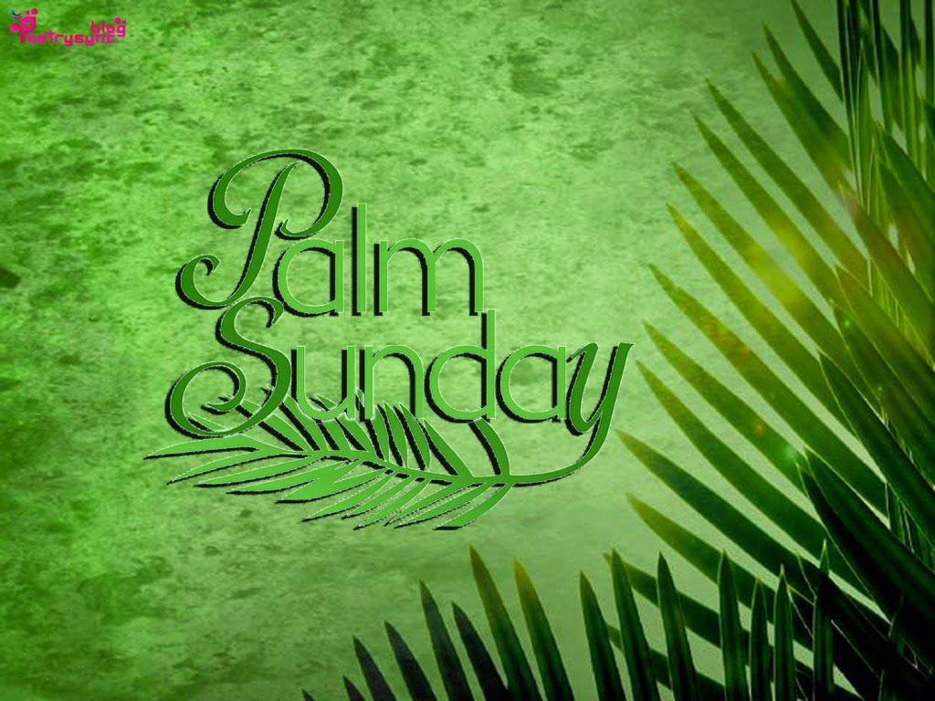 Palm Sunday Image 2017.. Best Palm Sunday Image Greeting Cards