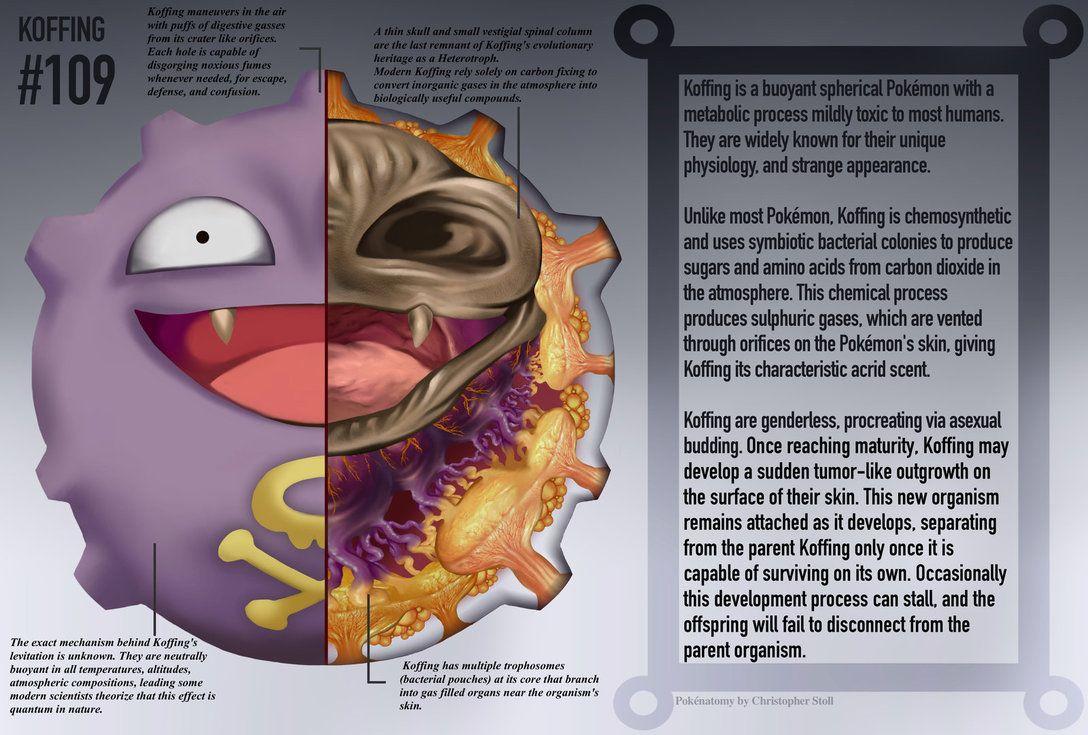 Koffing Anatomy Pokedex Entry By Christopher Stoll