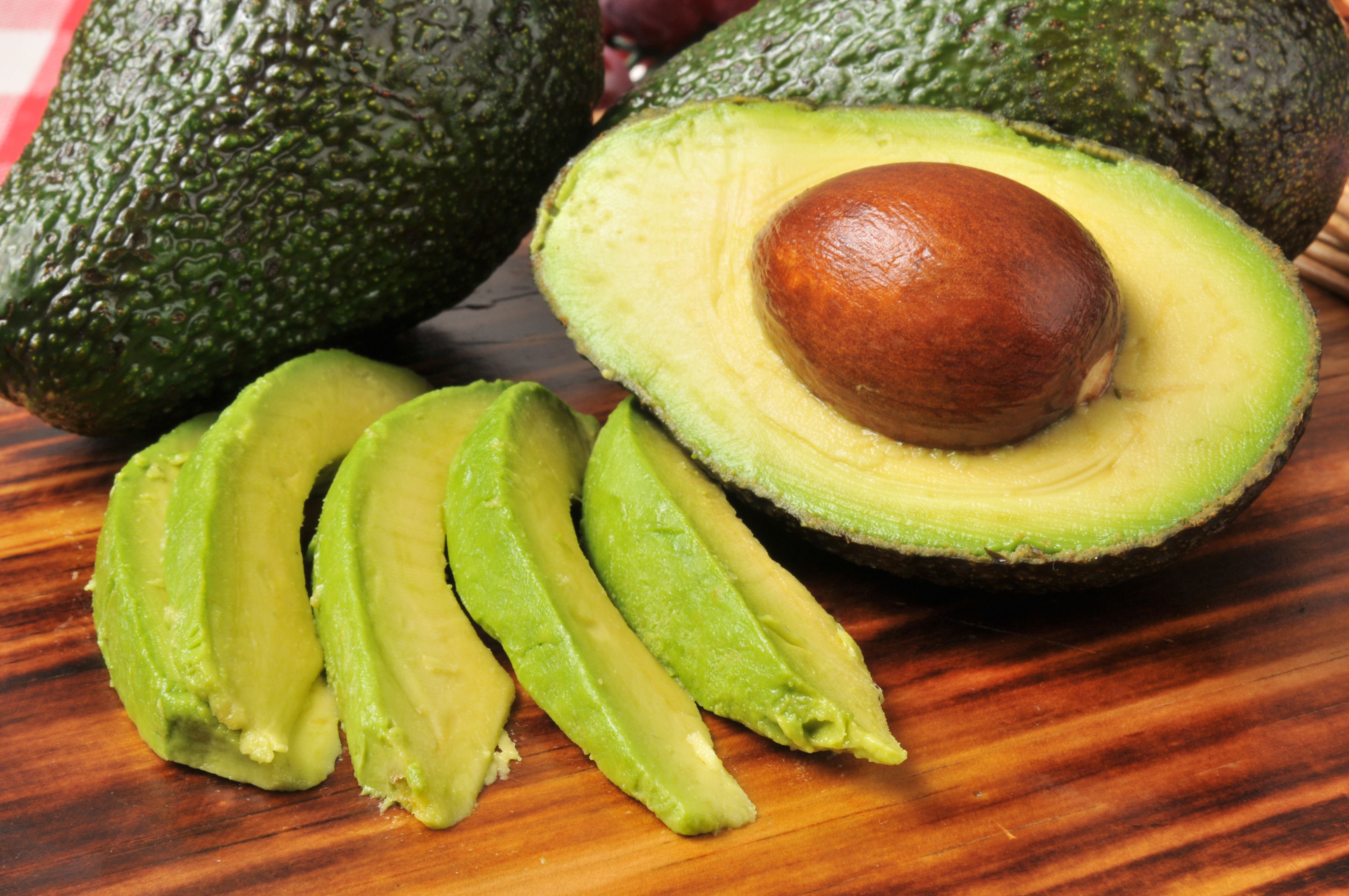 What wild animal eats avocados?