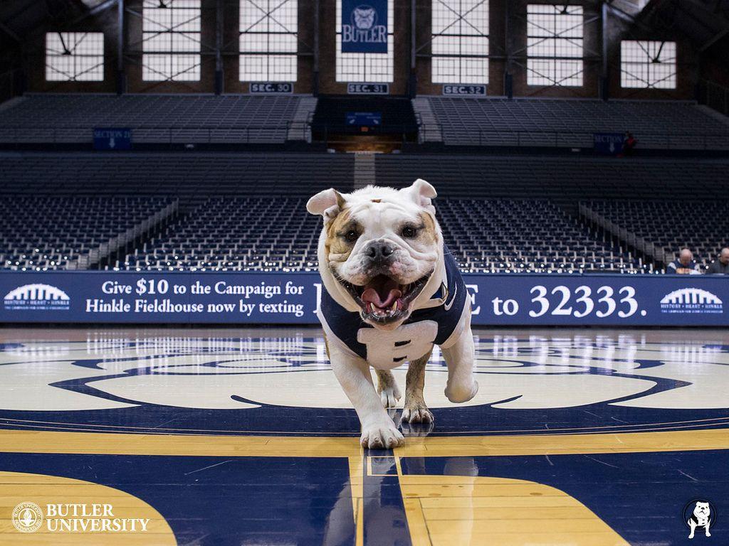 Butler Basketball Wallpapers - Wallpaper Cave