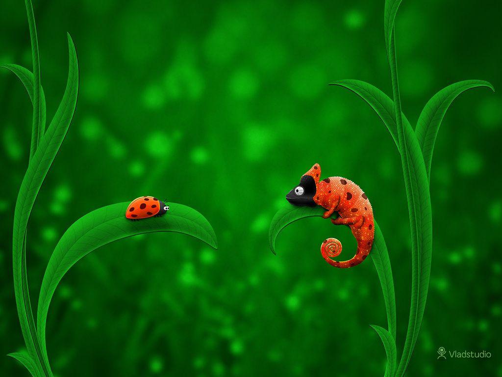 Ladybug and Chameleon · Desktop wallpaper · Vladstudio