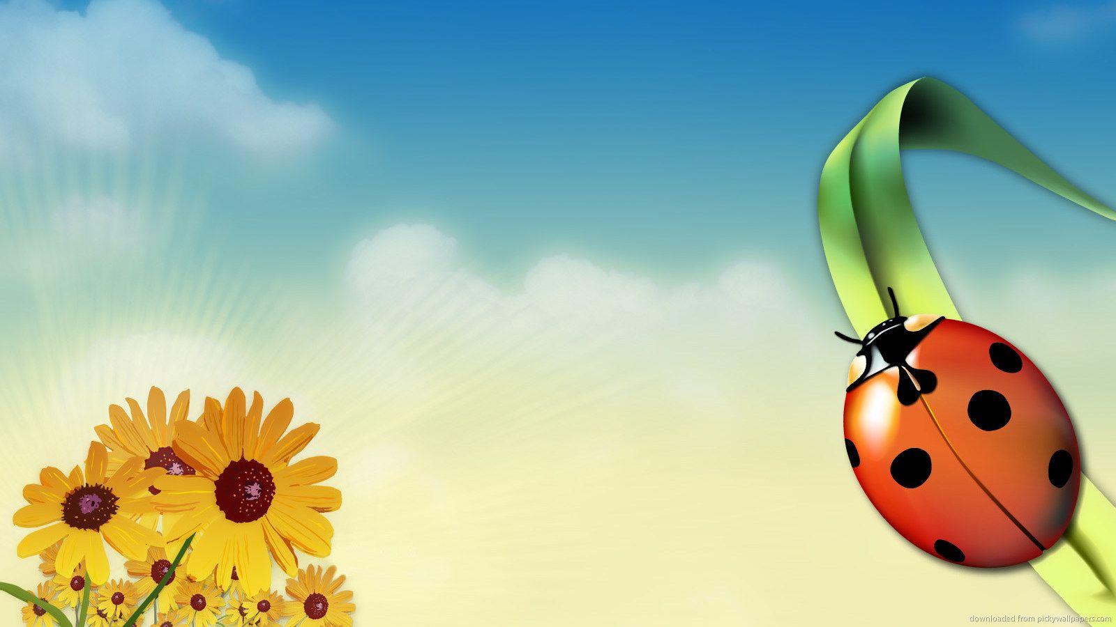 Ladybird Wallpaper, Live Ladybird Pics, PC, GuoGuiyan Collection