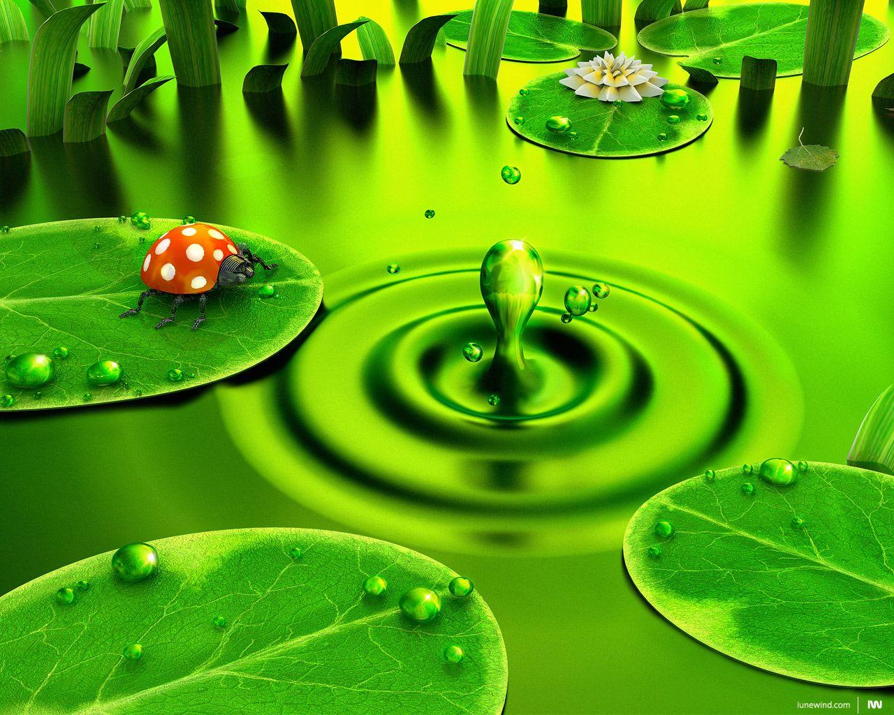 Computer Ladybird Wallpaper, Desktop Background 2560x1600