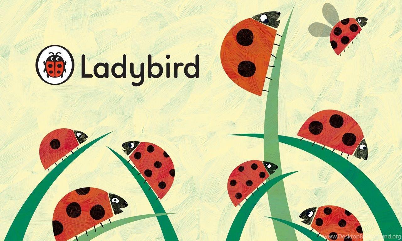HD Ladybird Wallpaper Desktop Background