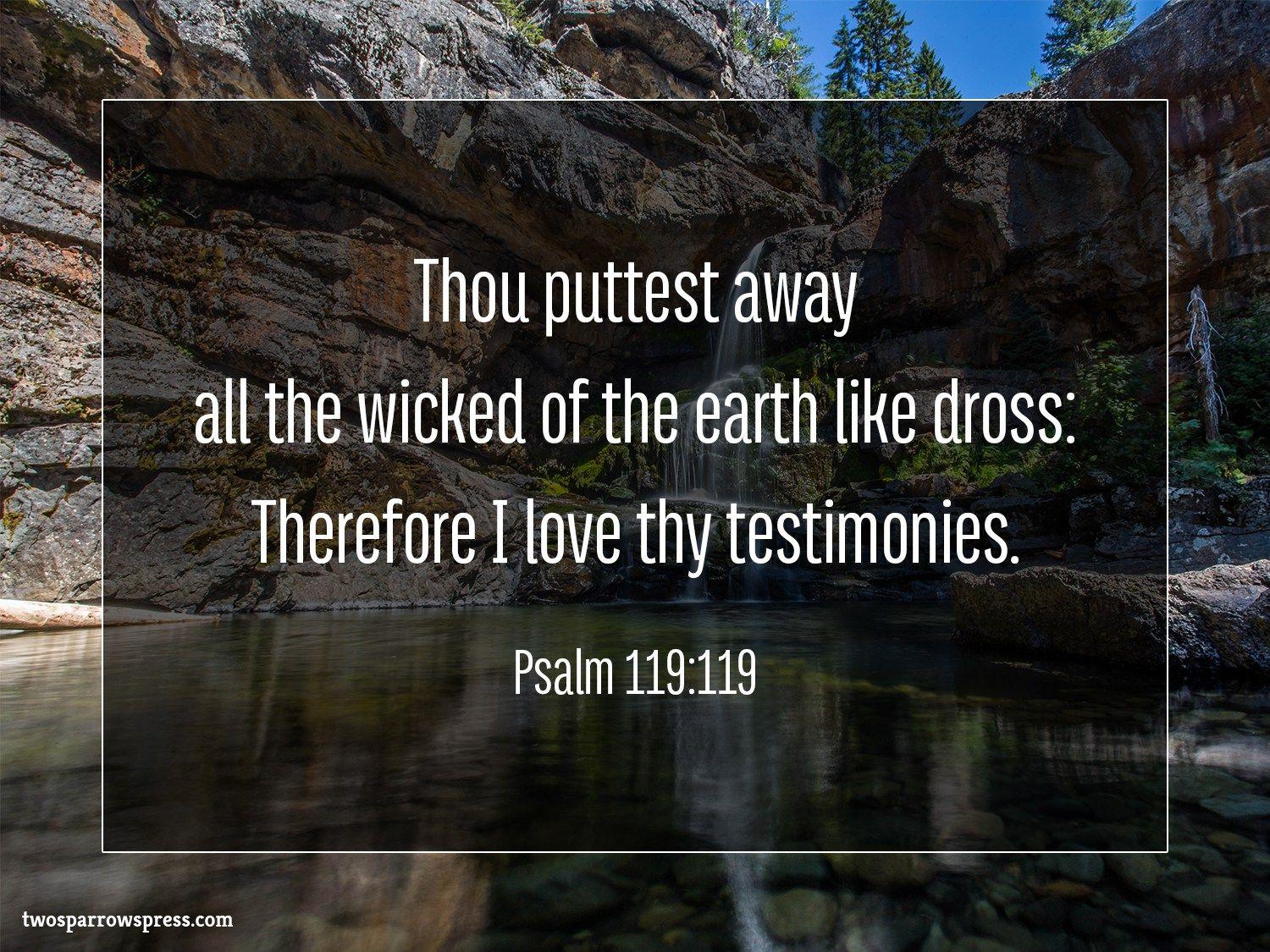 Psalm 119:119. Two Sparrows Press