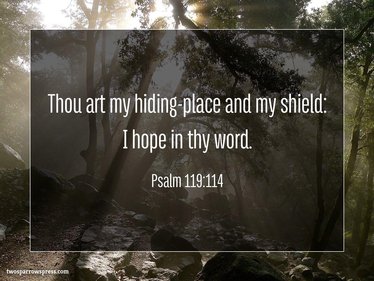 psalm-119-120-wallpapers-wallpaper-cave