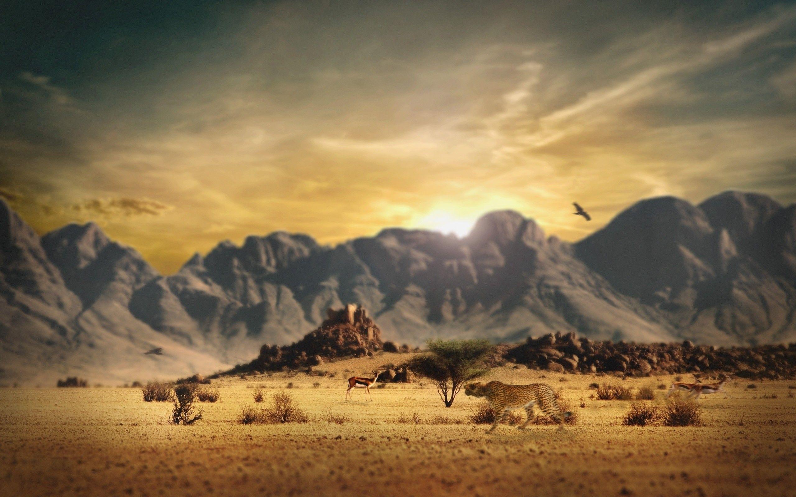 African backgrounds ·① Download free stunning wallpapers for