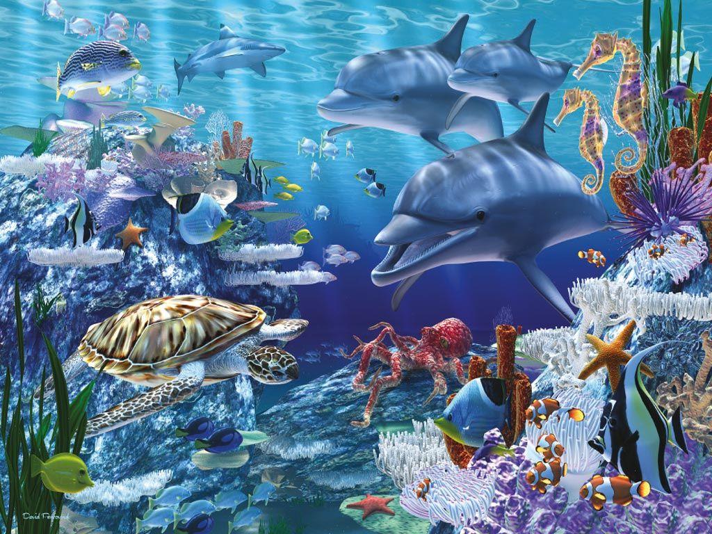 Sea Life HD Wallpaper
