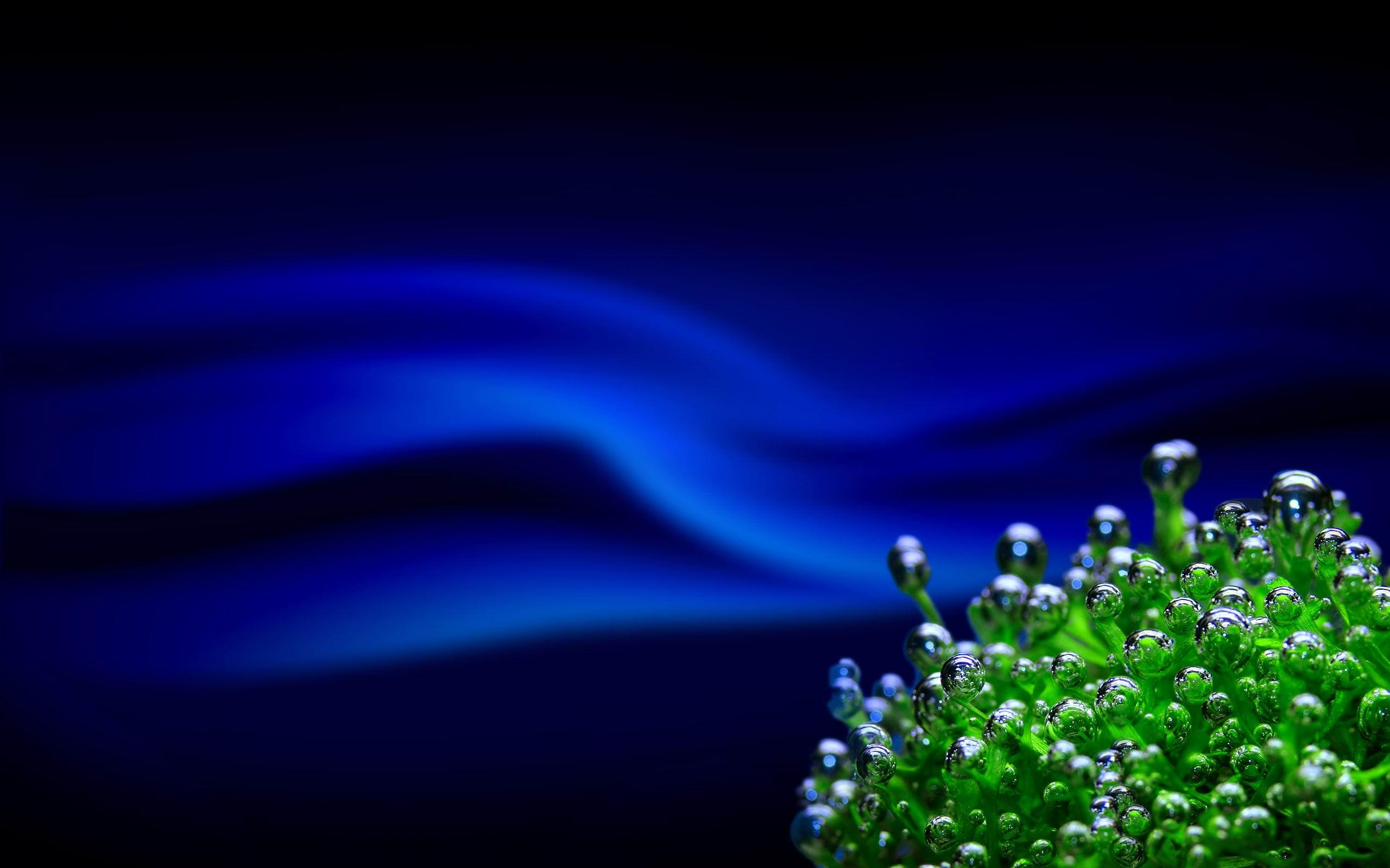 GREEN CORAL opus# 01720 version two july2012 HD Wallpaper
