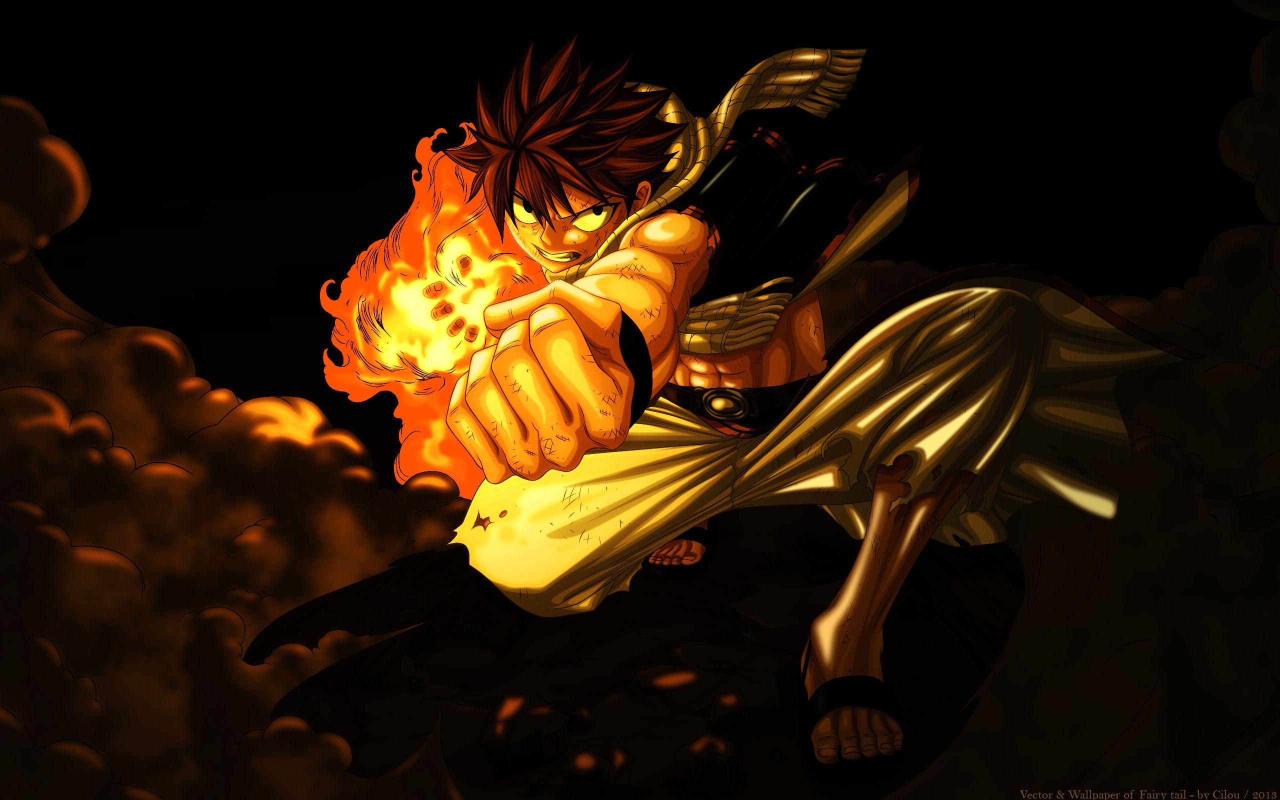 Natsu Dragneel TAIL Wallpaper Anime