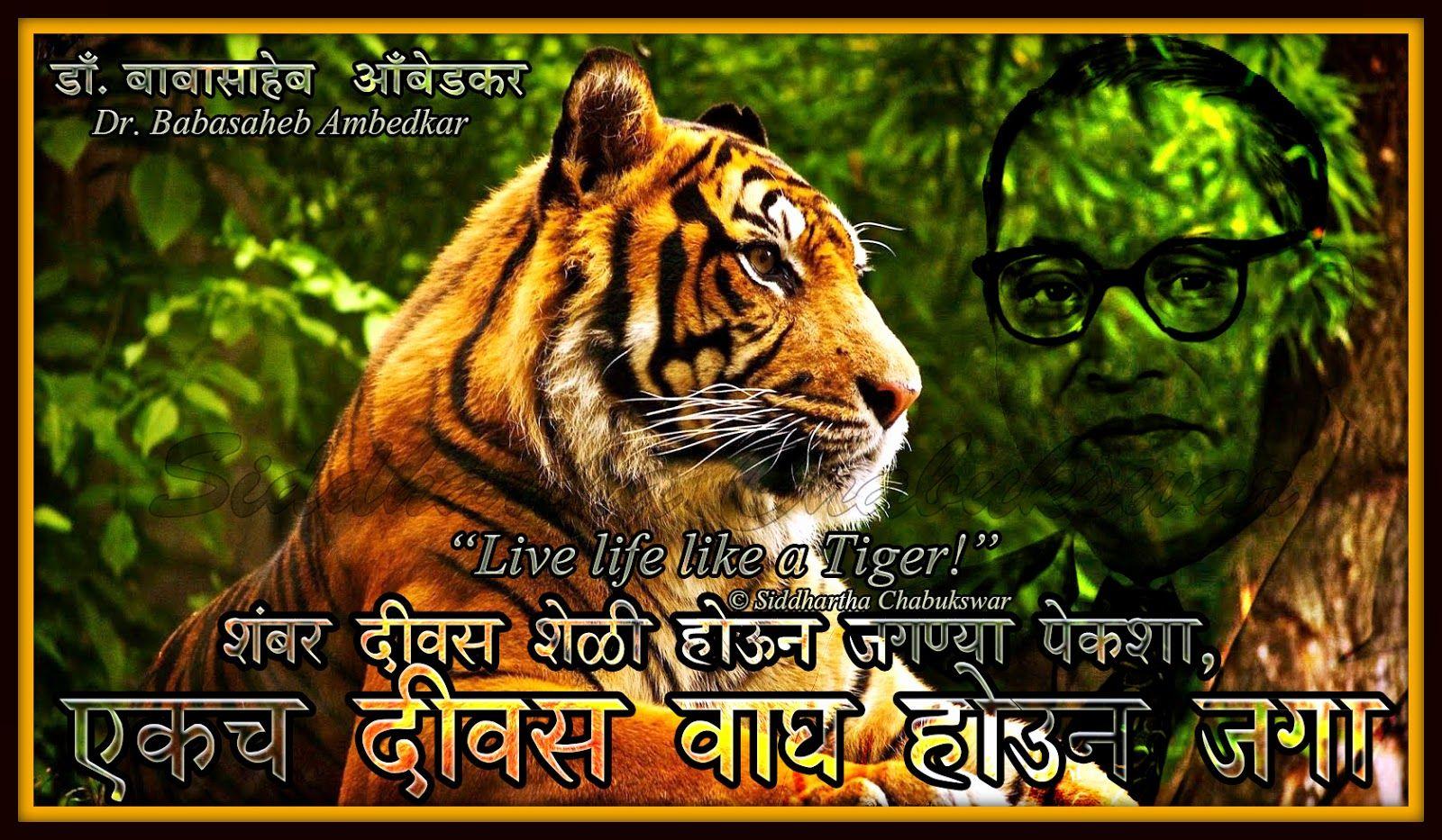 Live life like a Tiger: Dr. Babasaheb Ambedkar Wallpaper