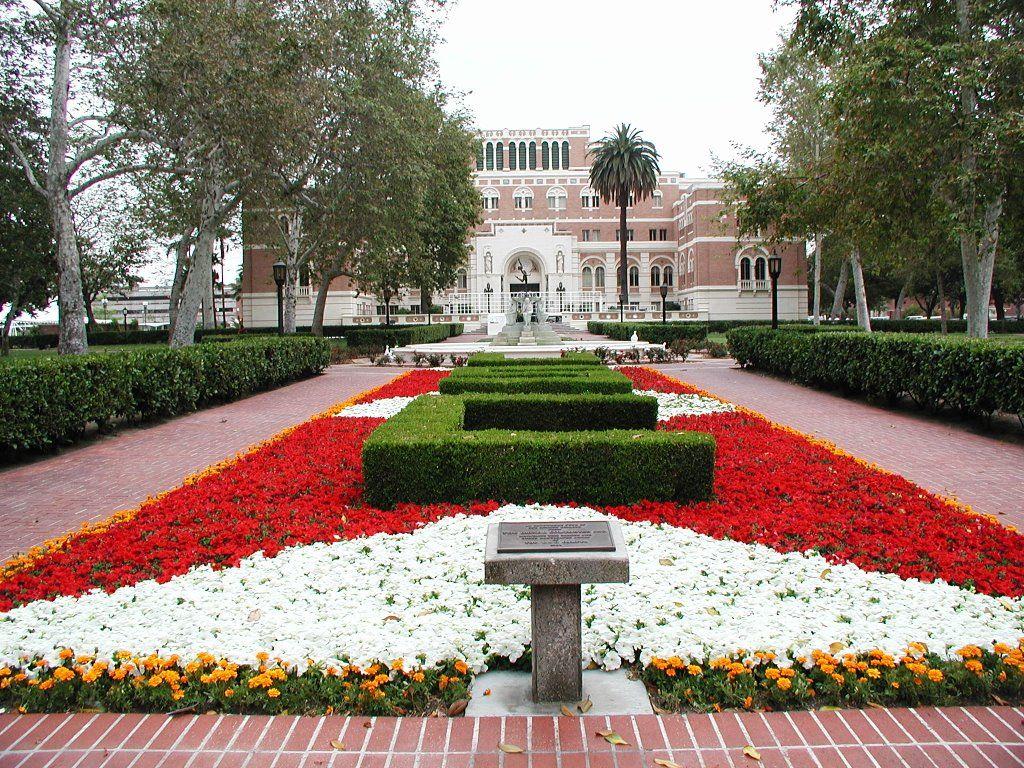 Campus Wallpapers - Wallpaper Cave