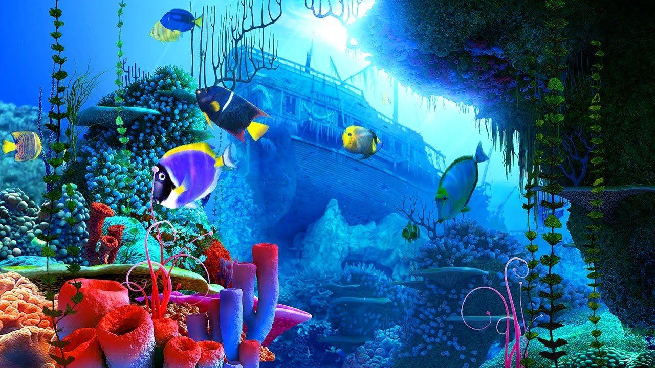 Coral Reef 3D Screensaver & Live Wallpaper HD