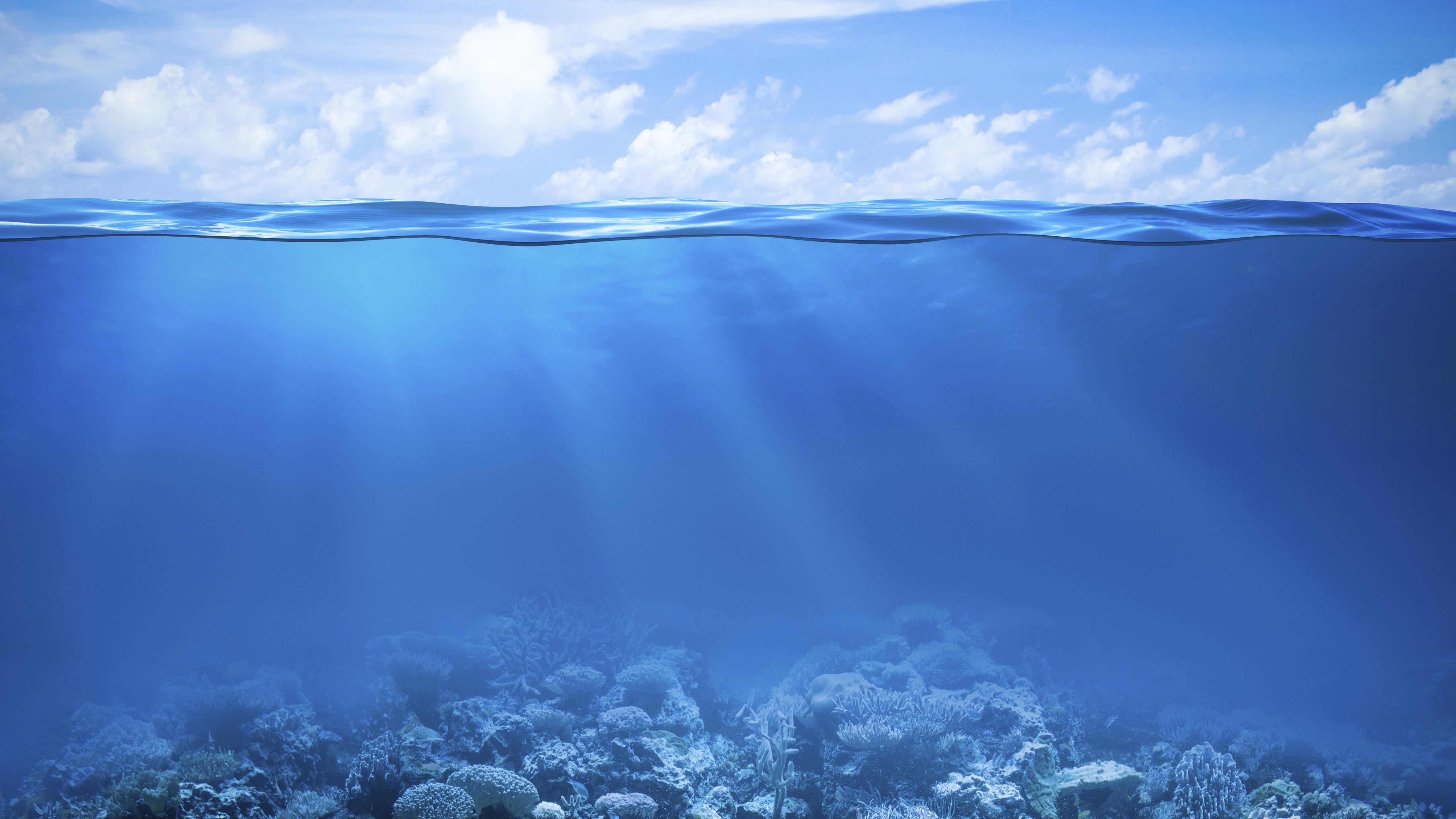 Wallpaper Coral Reef, Under the Sea, Underwater, HD, 4K, Nature