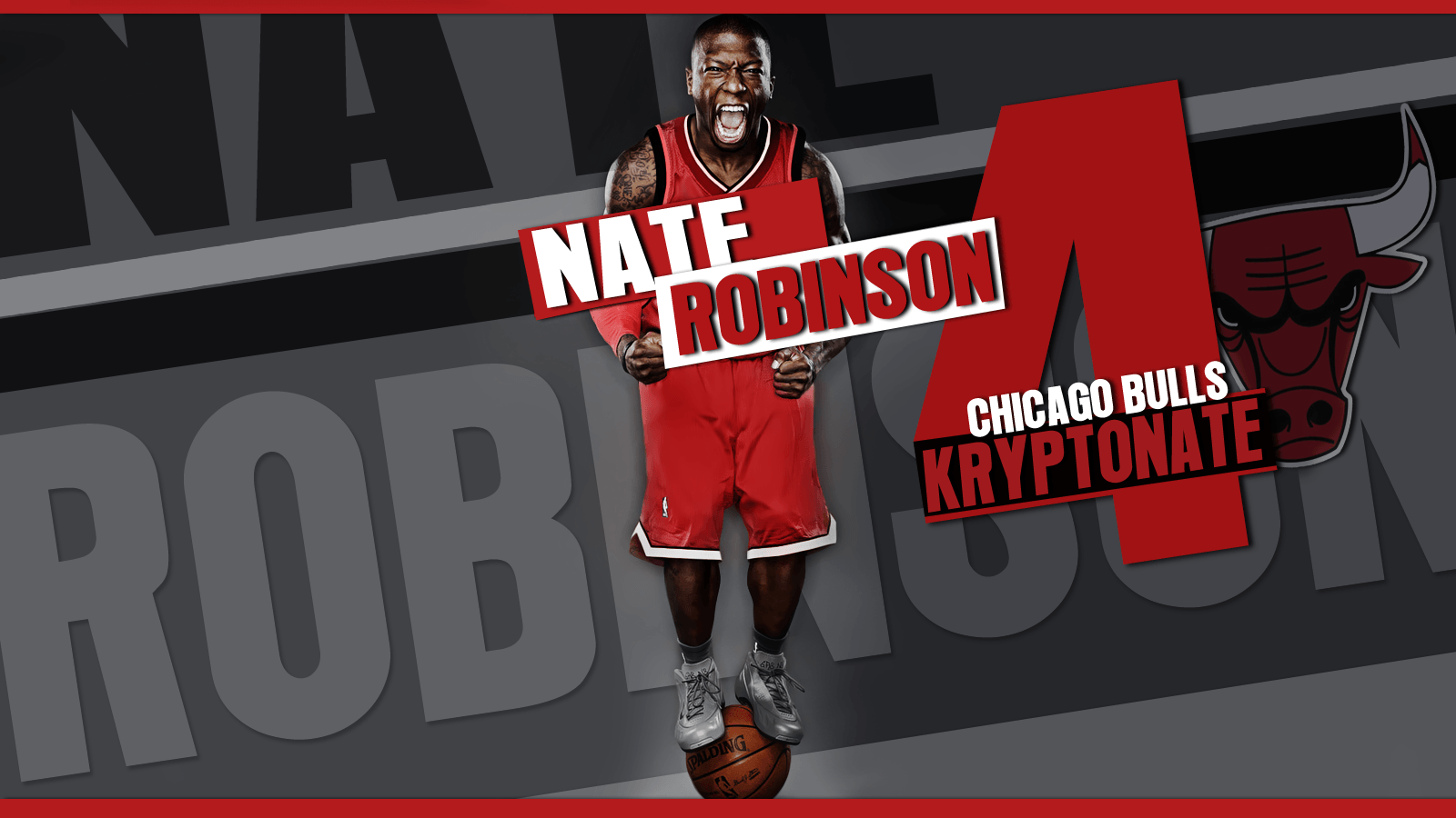 Free download Of Nate Robinson Signs With Denver Nuggets HD Wallpapers  Collection [481x600] for your Desktop, Mobile & Tablet, Explore 49+ Robinson  Wallpaper Catalog
