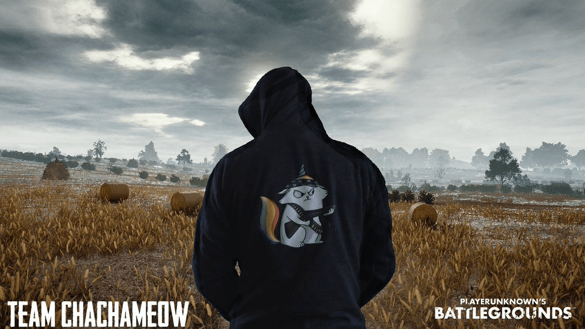 Team Chachameow Pubg Wallpaper for Phone and HD Desktop Background