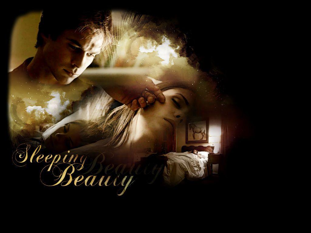 The Vampire Diaries Ships image Delena <3 <3 <3 HD wallpaper