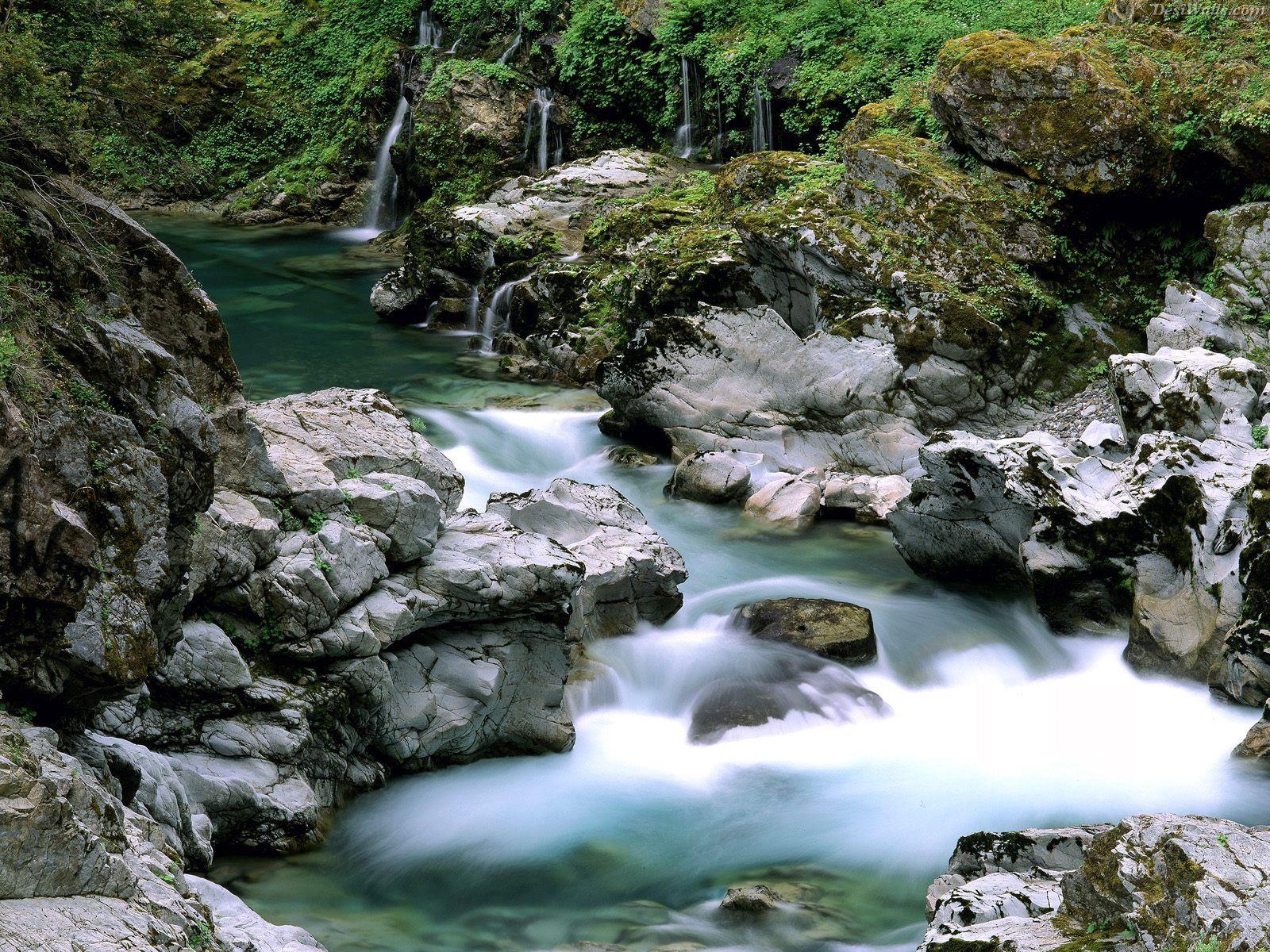 Spring Creek Siskiyou National Forest in Oregon. Free Desktop