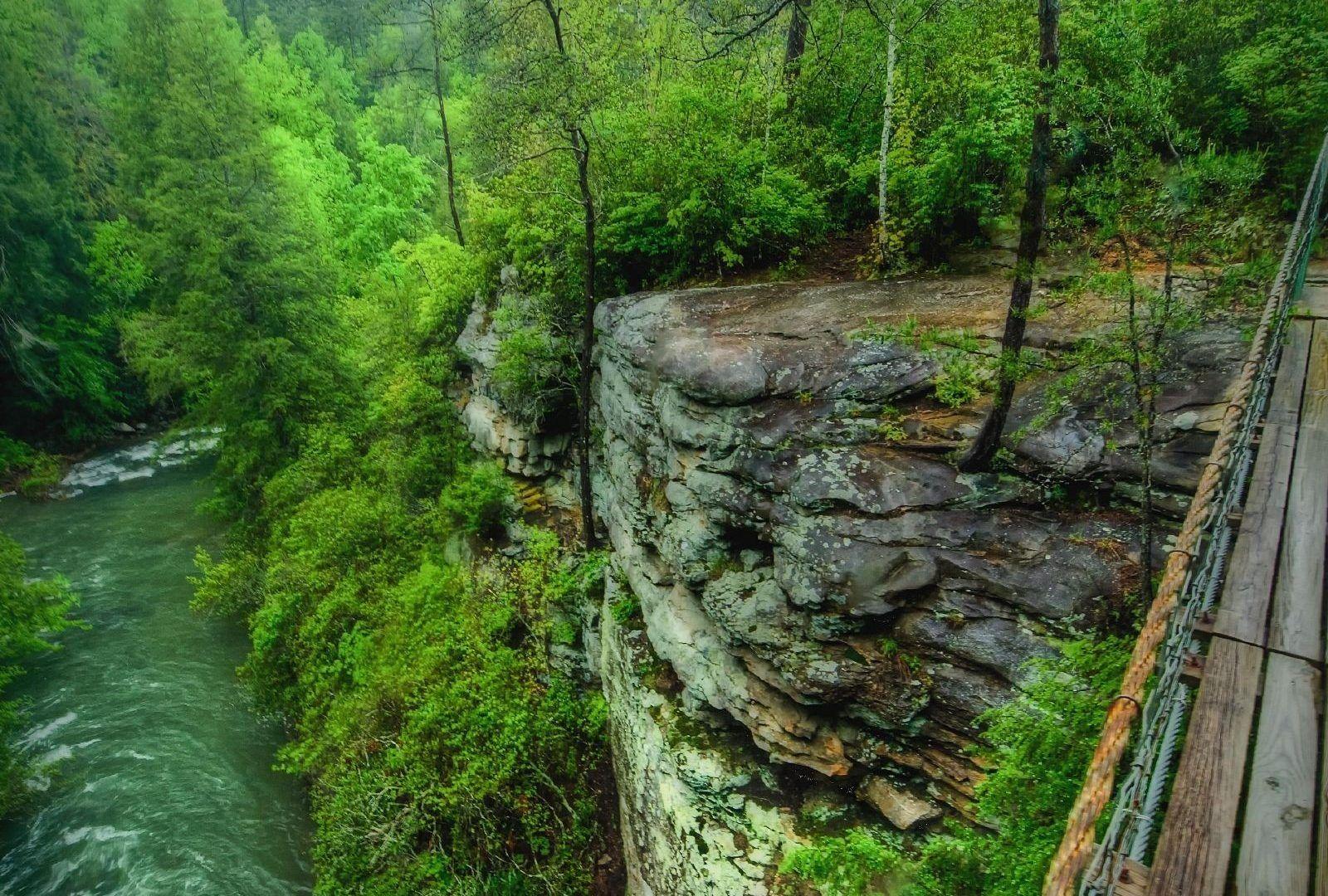 Forest: Fall Creek Falls Bluff Desktop Forest Wallpaper Free