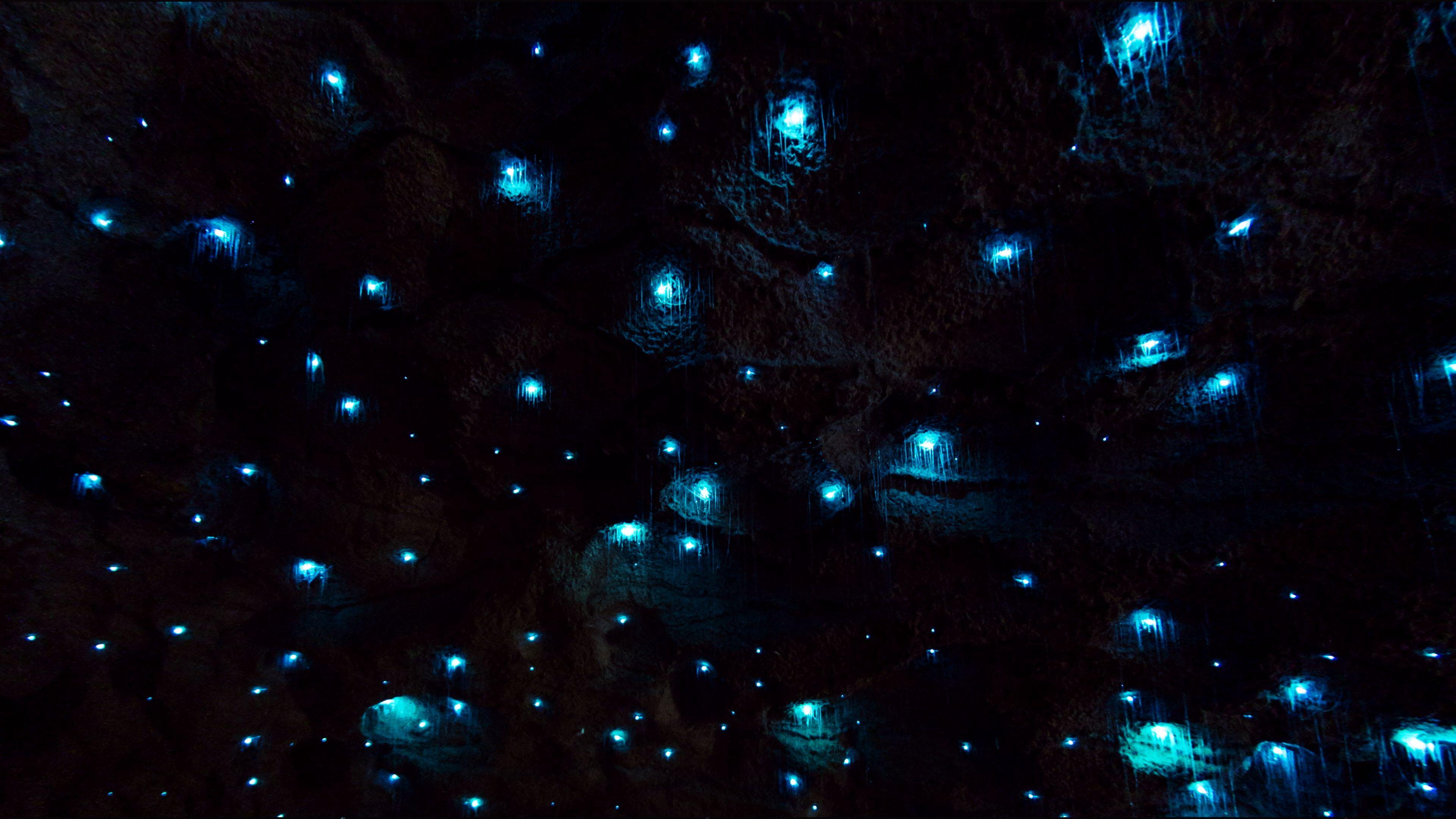 Glow worm cave HD Wallpaper