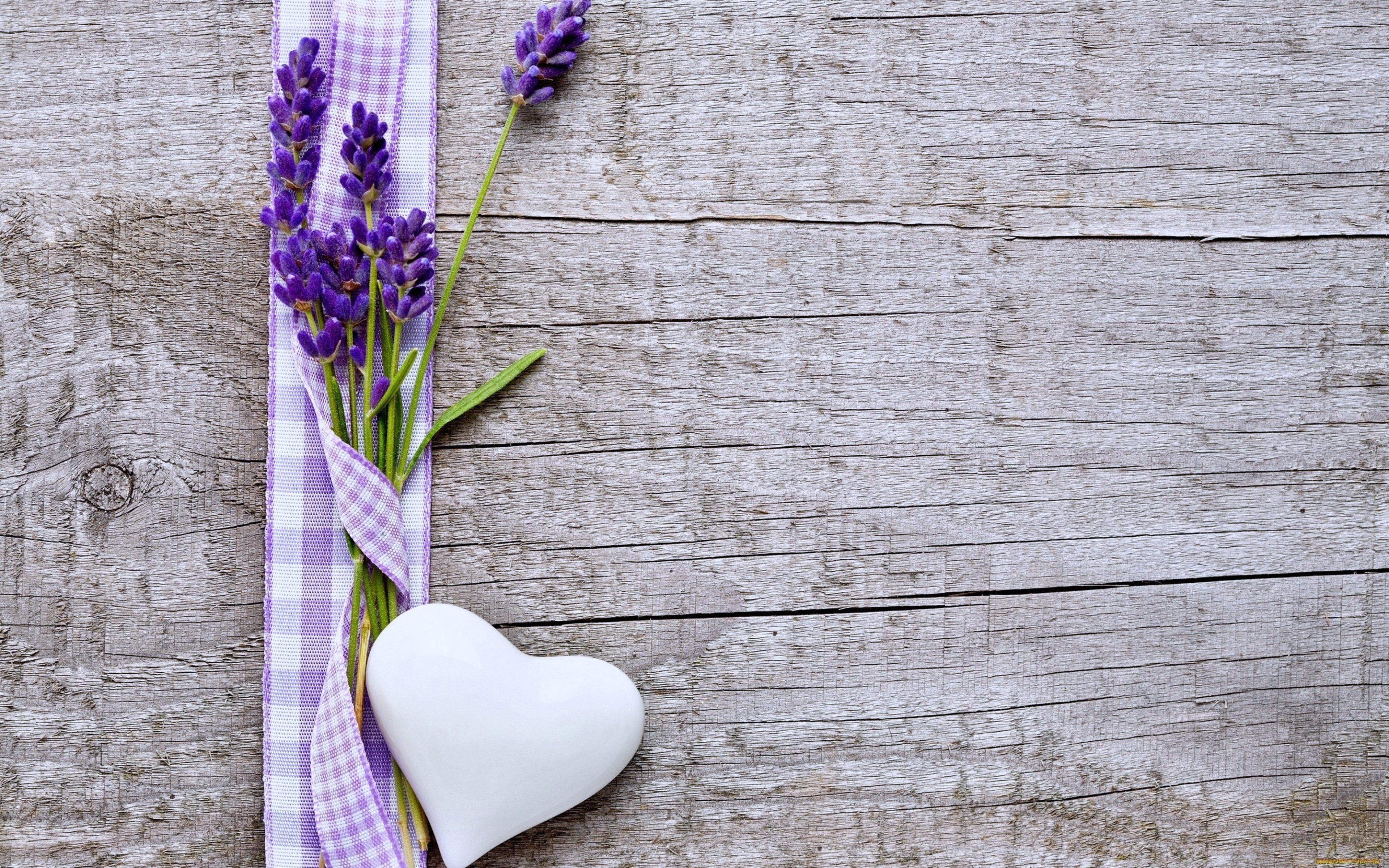 Flowers hearts love emotions woods Lavender Purple wallpaper