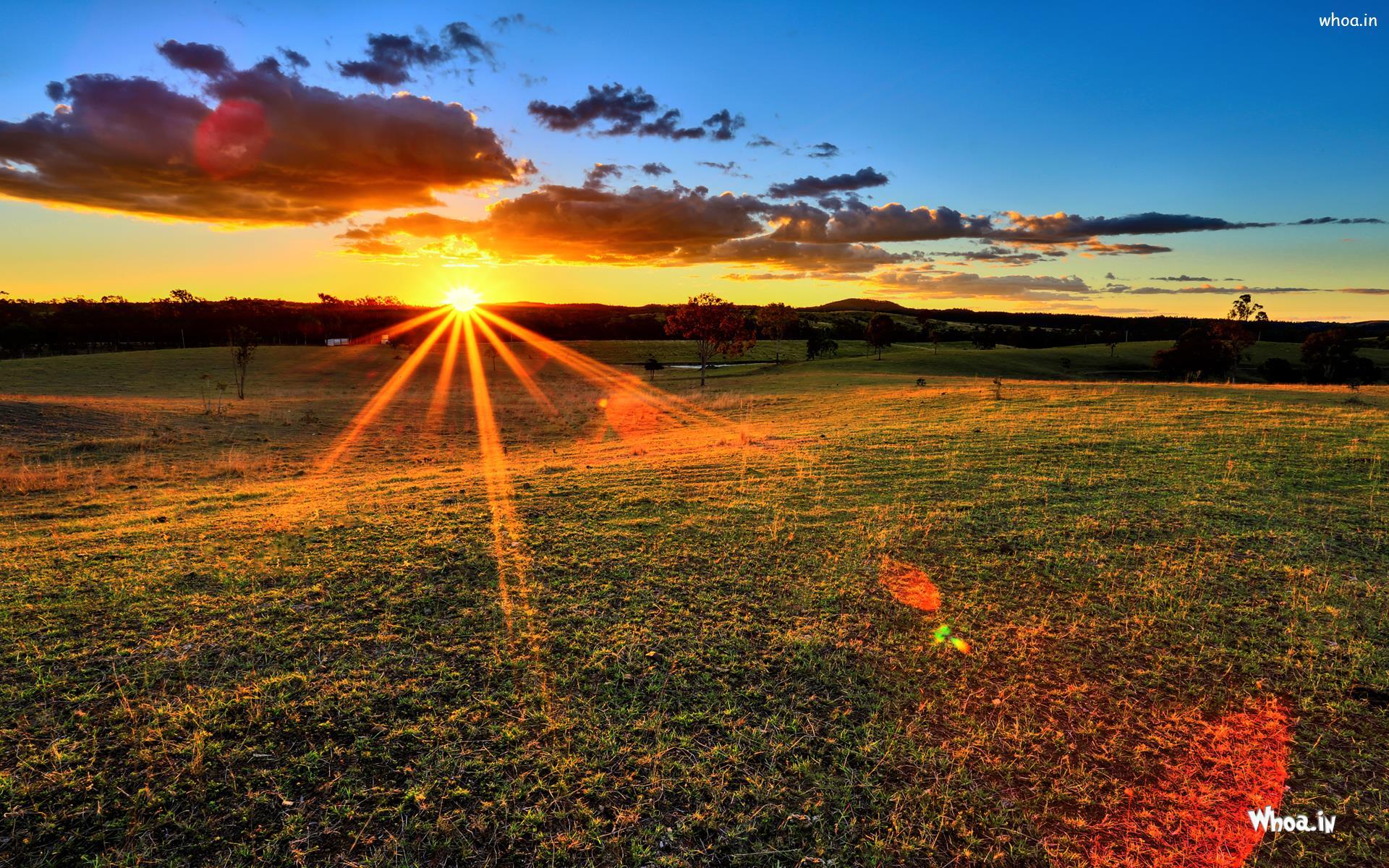 Sun Rays Natural Photohoot HD Desktop Wallpaper