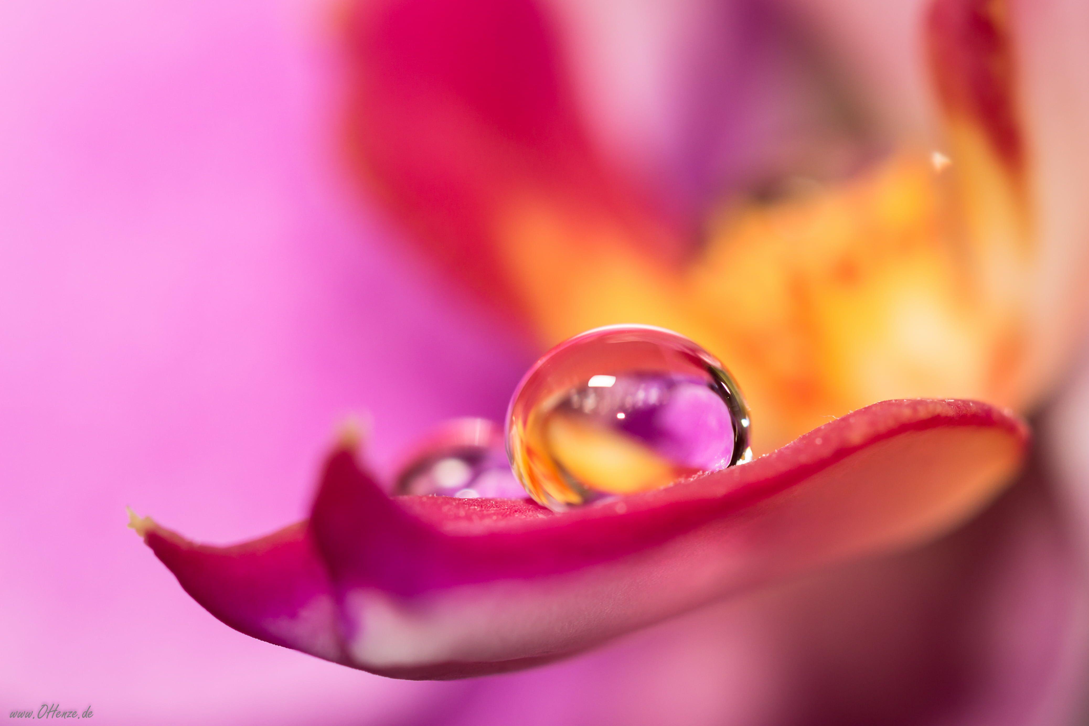 Water Drop Focus Wallpapers - Wallpaper Cave