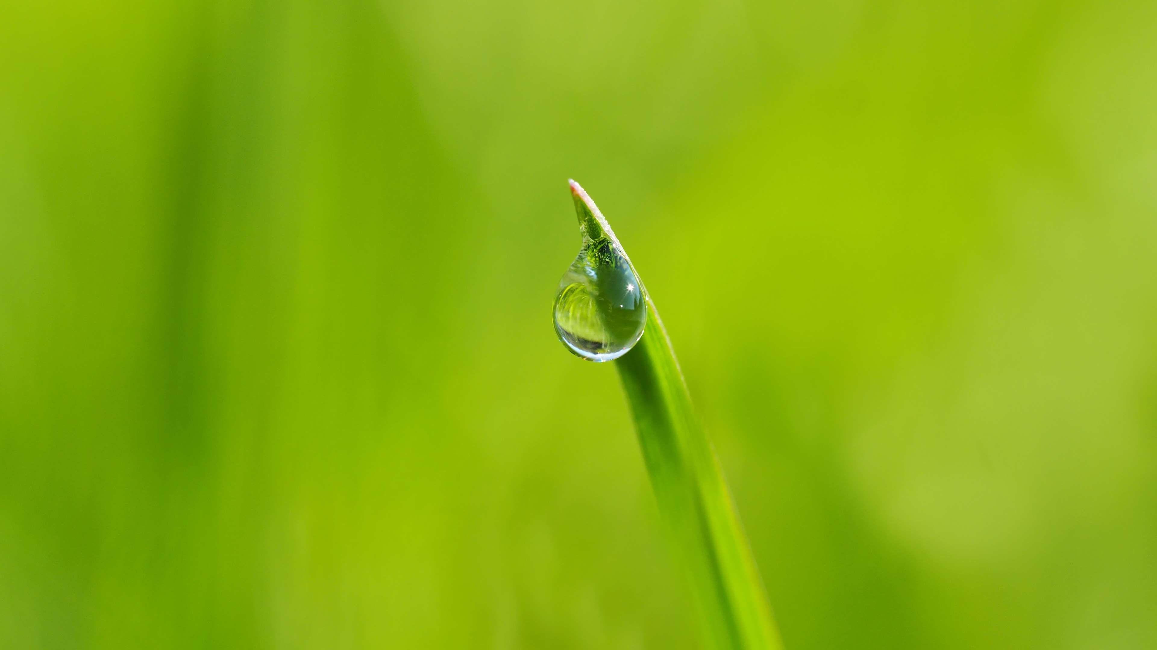 Water Drop Focus Wallpapers - Wallpaper Cave