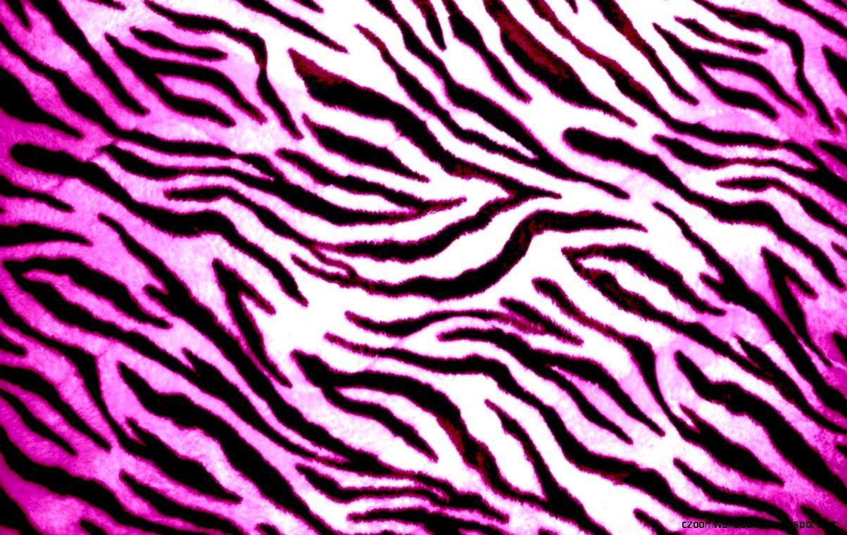 Pink Zebra Wallpaper For iPhone
