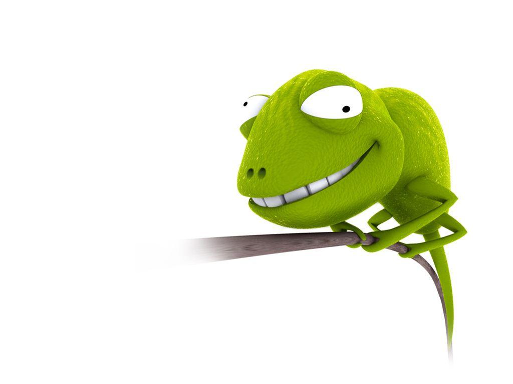 Funny bugs HD wallpaper. Funny Animal