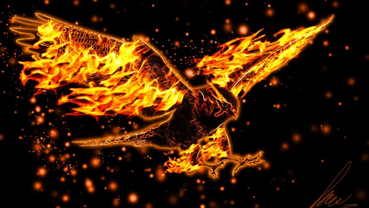 Burning eagle flight wings fire abstract wallpaperx1080