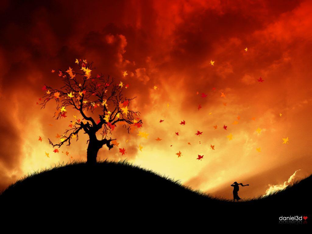 Autumn in Fire. Fall wallpaper, Abstract wallpaper, Nature scenes