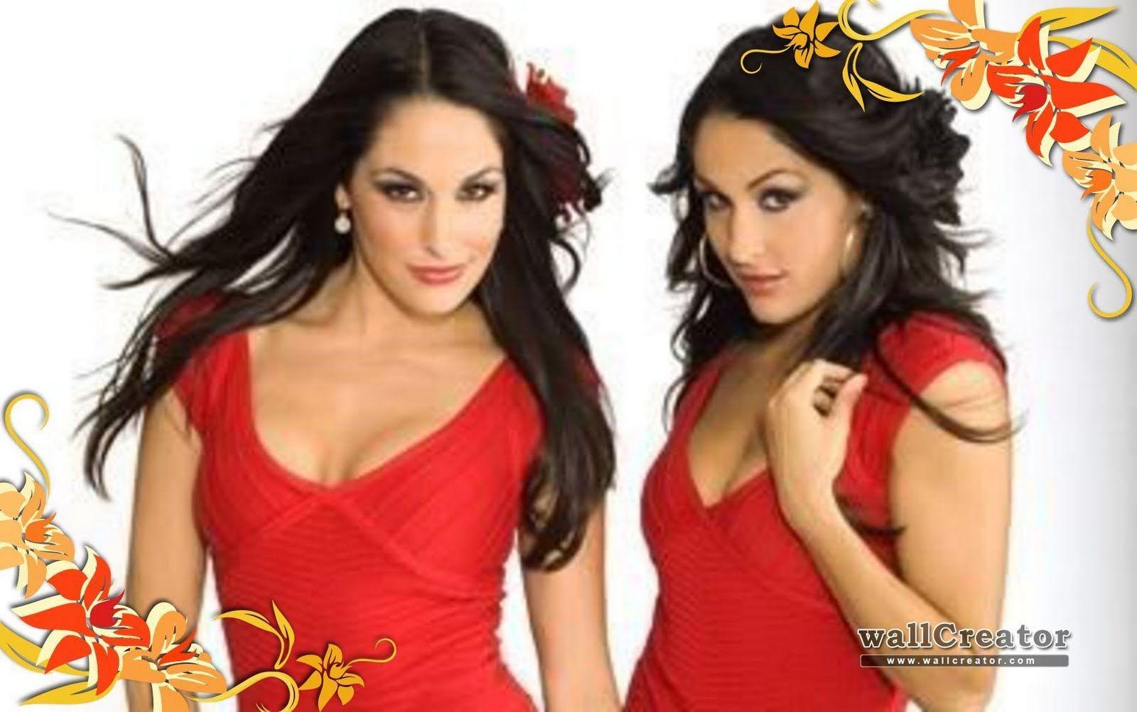 High Quality Desktop Wallpaper: WWE DIVAS ( The Bella Twins )