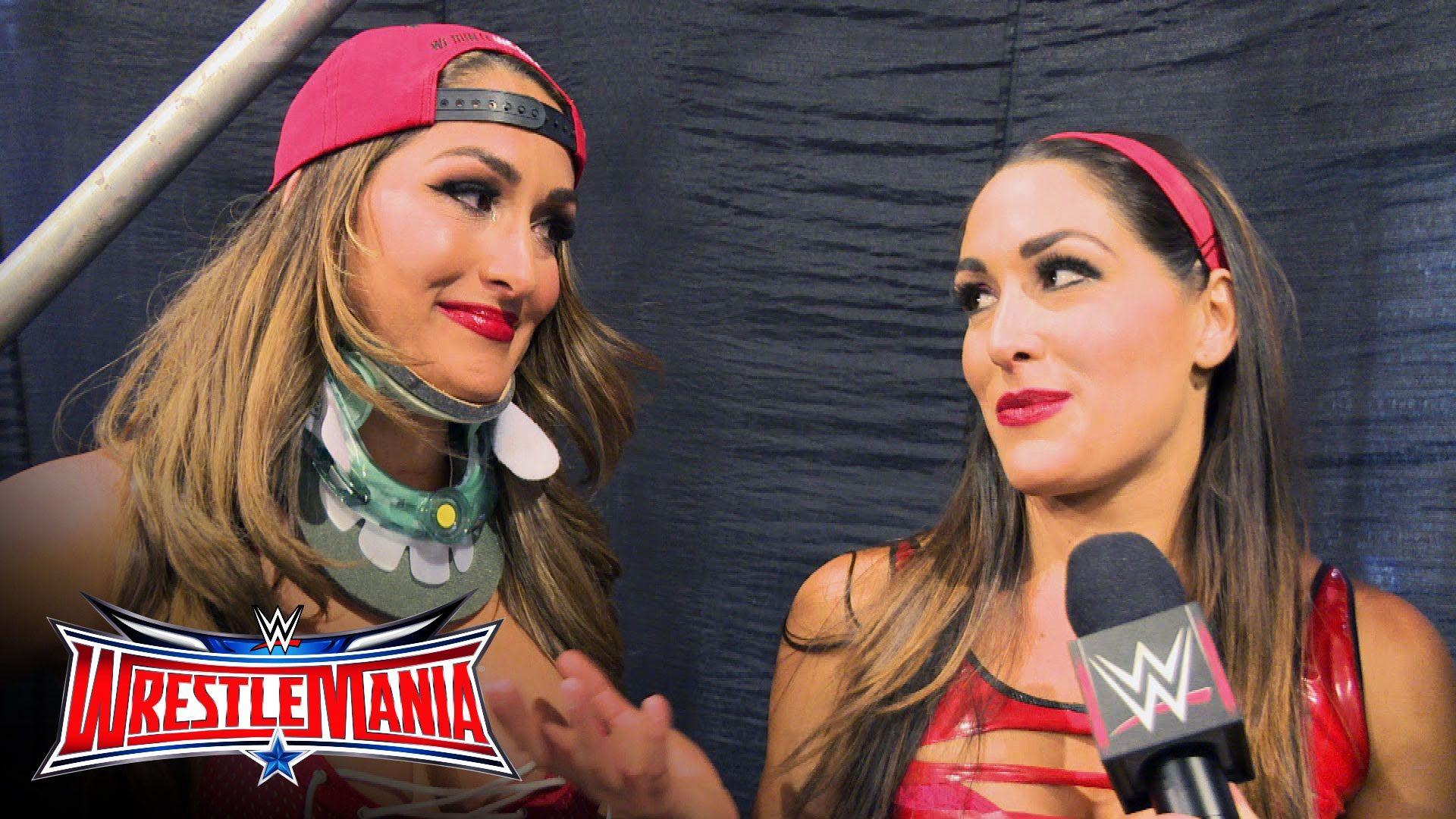 The Bella Twins Archives