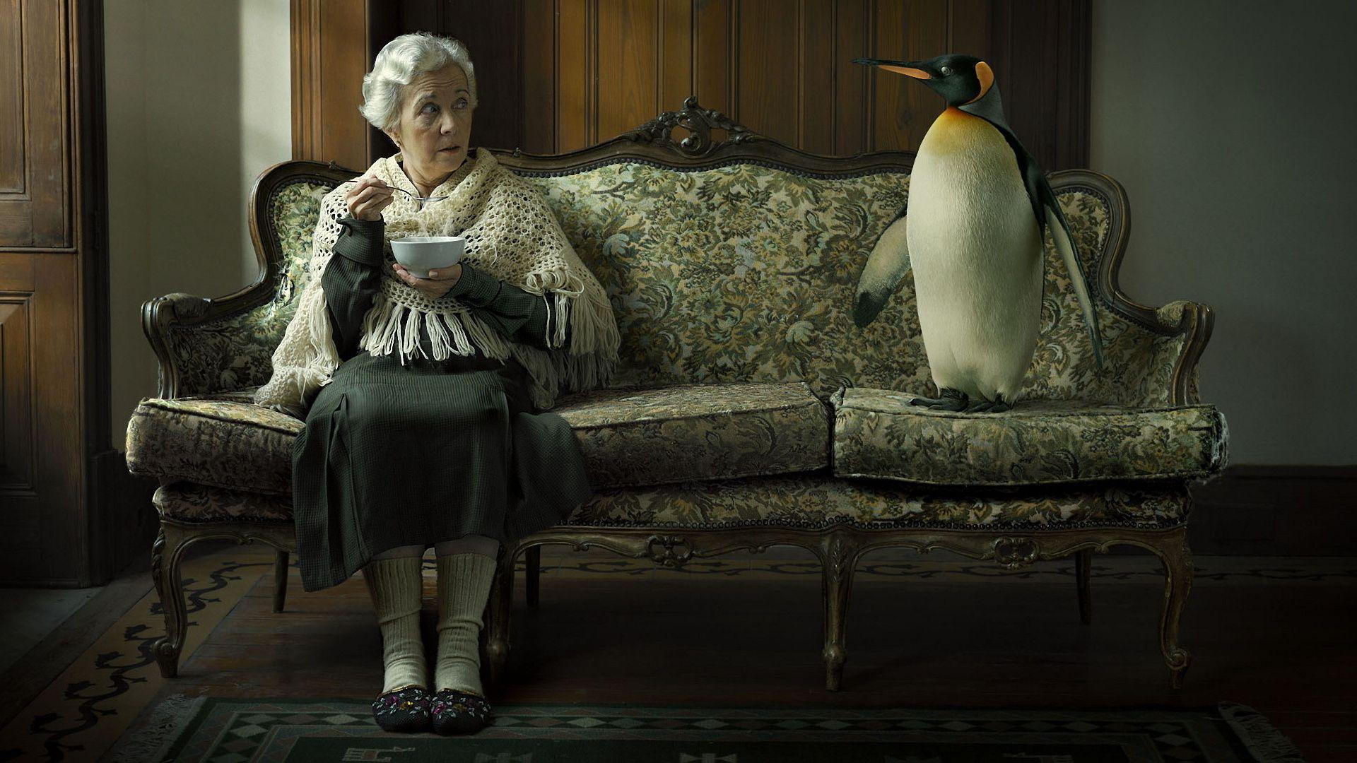 Grandma, Penguin, Sofa Wallpaper and Picture, Photo