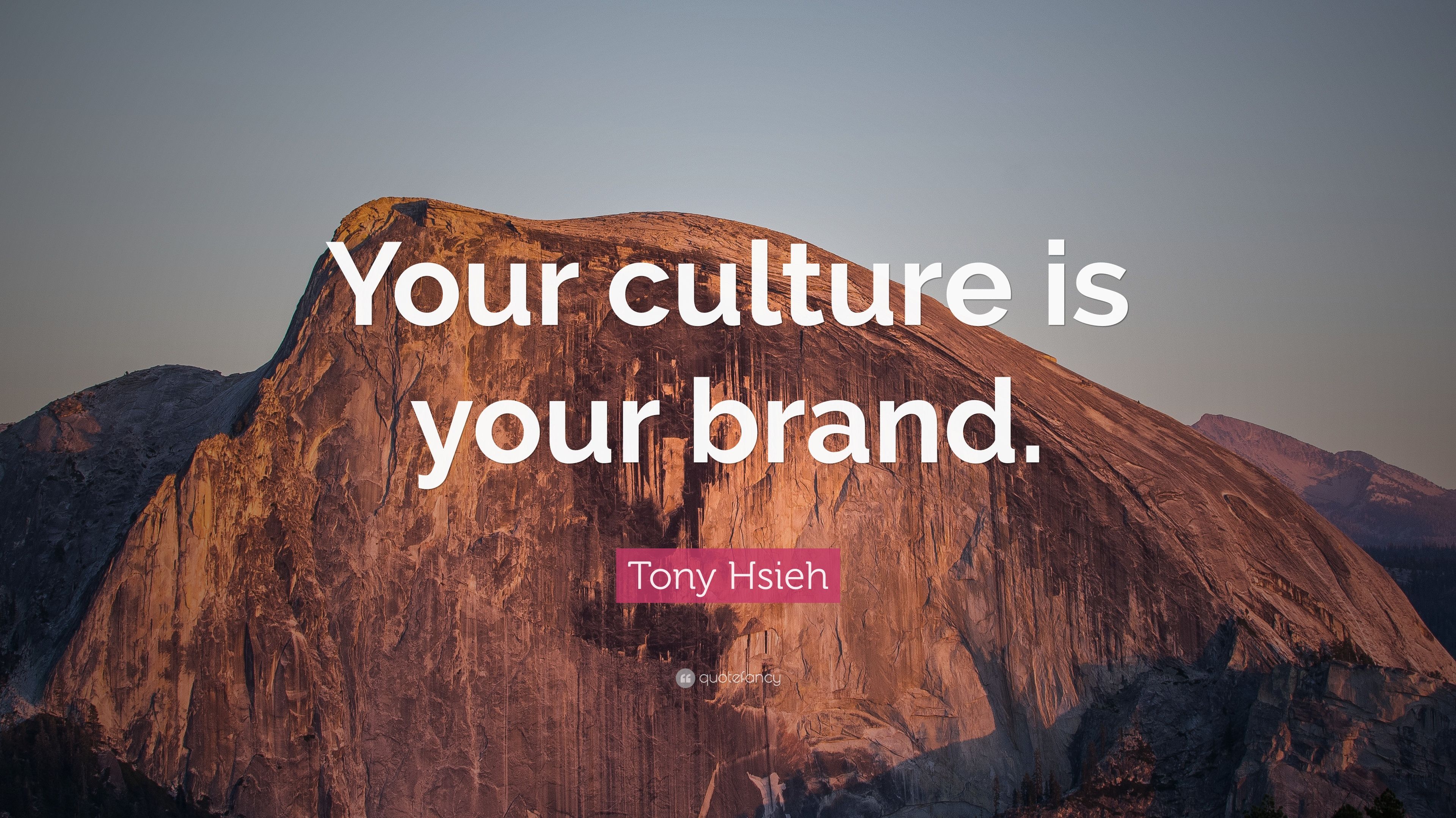 Tony Hsieh Quote: “Your culture is your brand.” 12 wallpaper