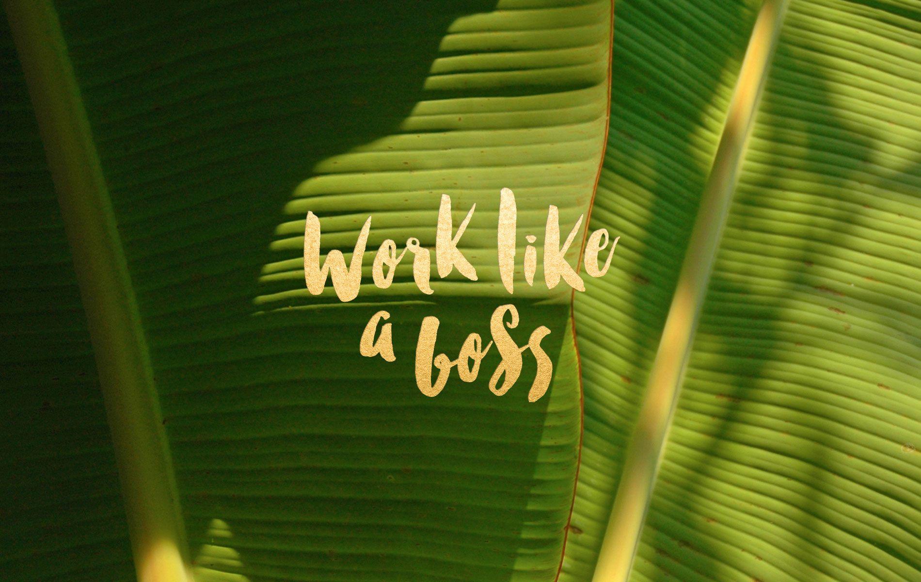 Green palm leaves botanical Work Boss desktop wallpaper background