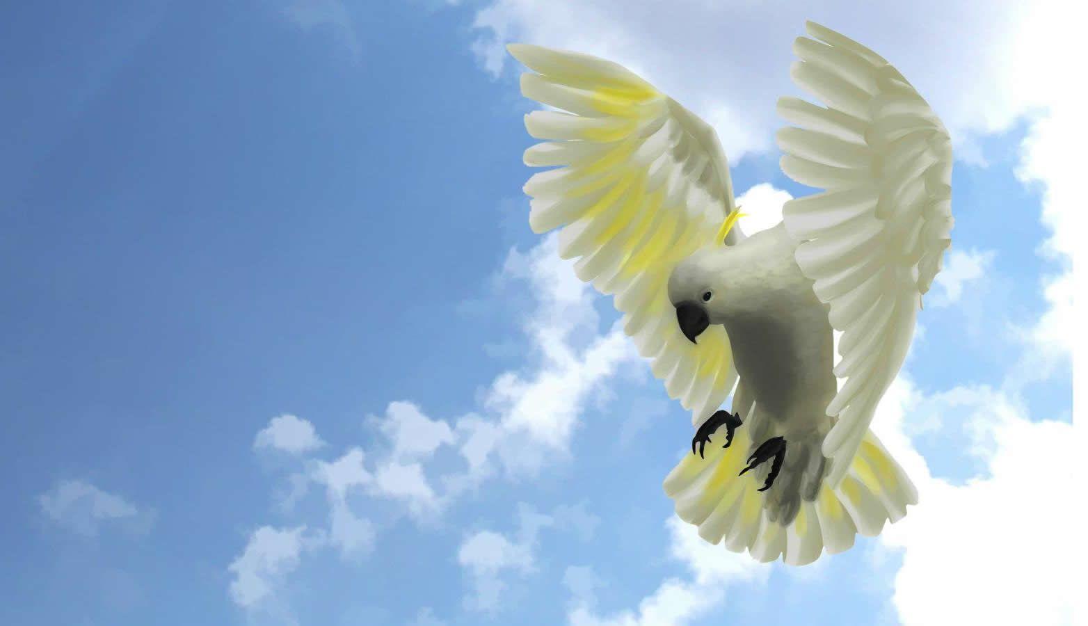 Sulphur Crested Cockatoo By Litha The Black Cat