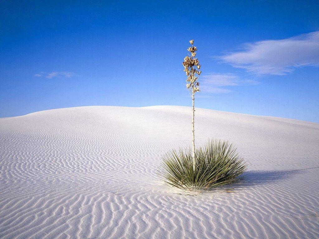 White Sands National Monument Wallpapers - Wallpaper Cave